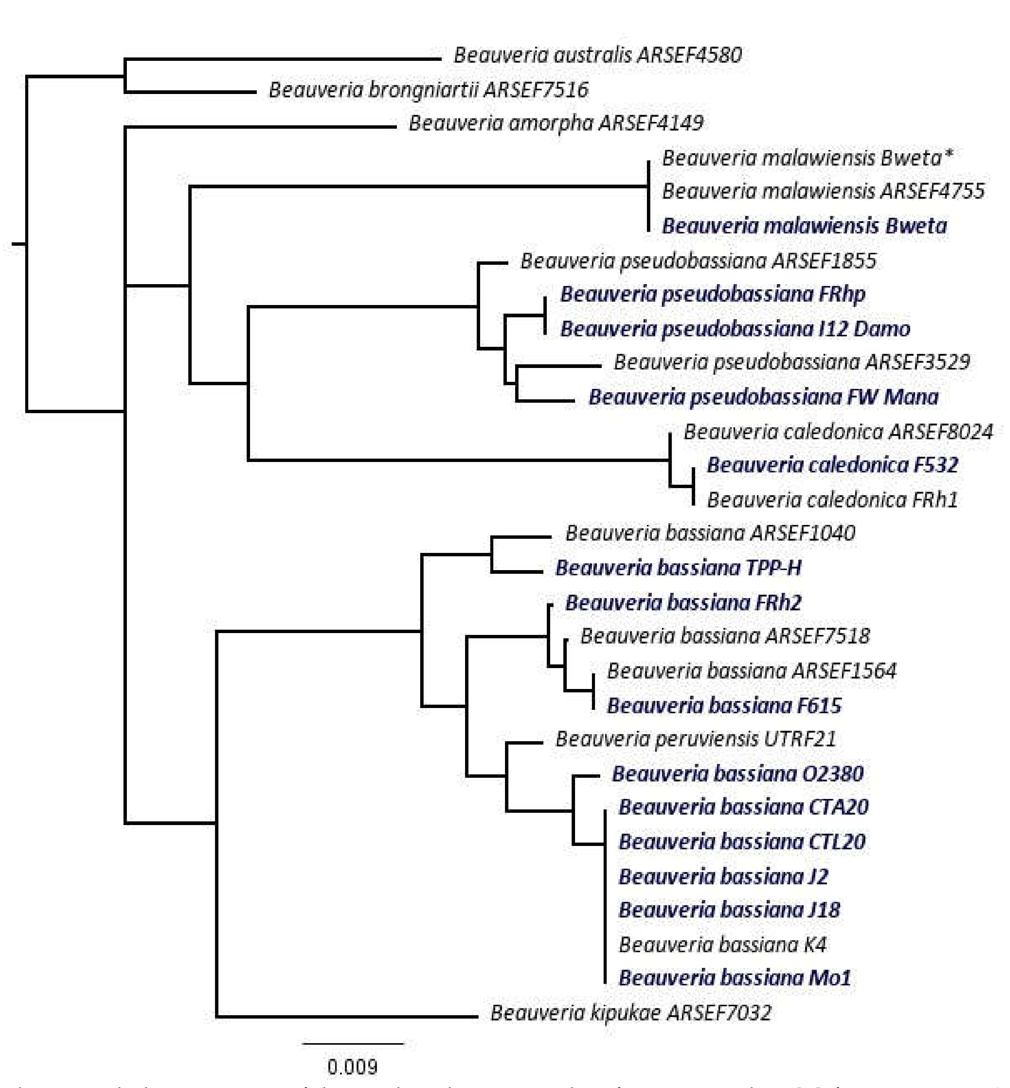 Microorganisms 10 00646 g001