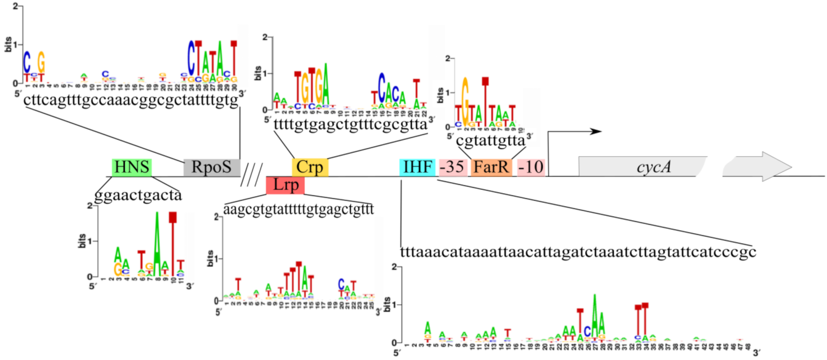 Microorganisms 10 00647 g005