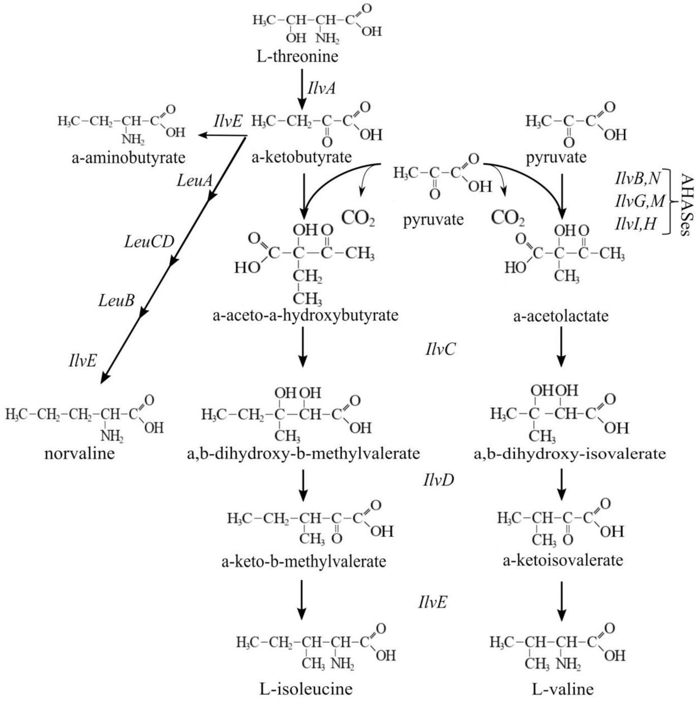 Microorganisms 10 00647 g011
