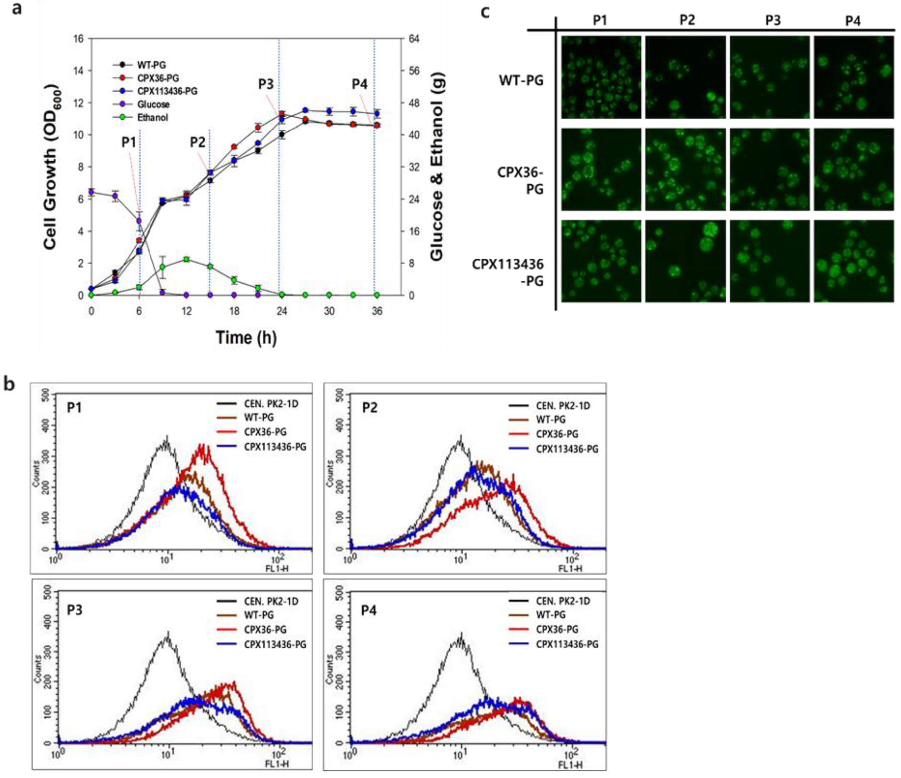 Microorganisms 10 00650 g003 Microorganisms 10 00650 g003