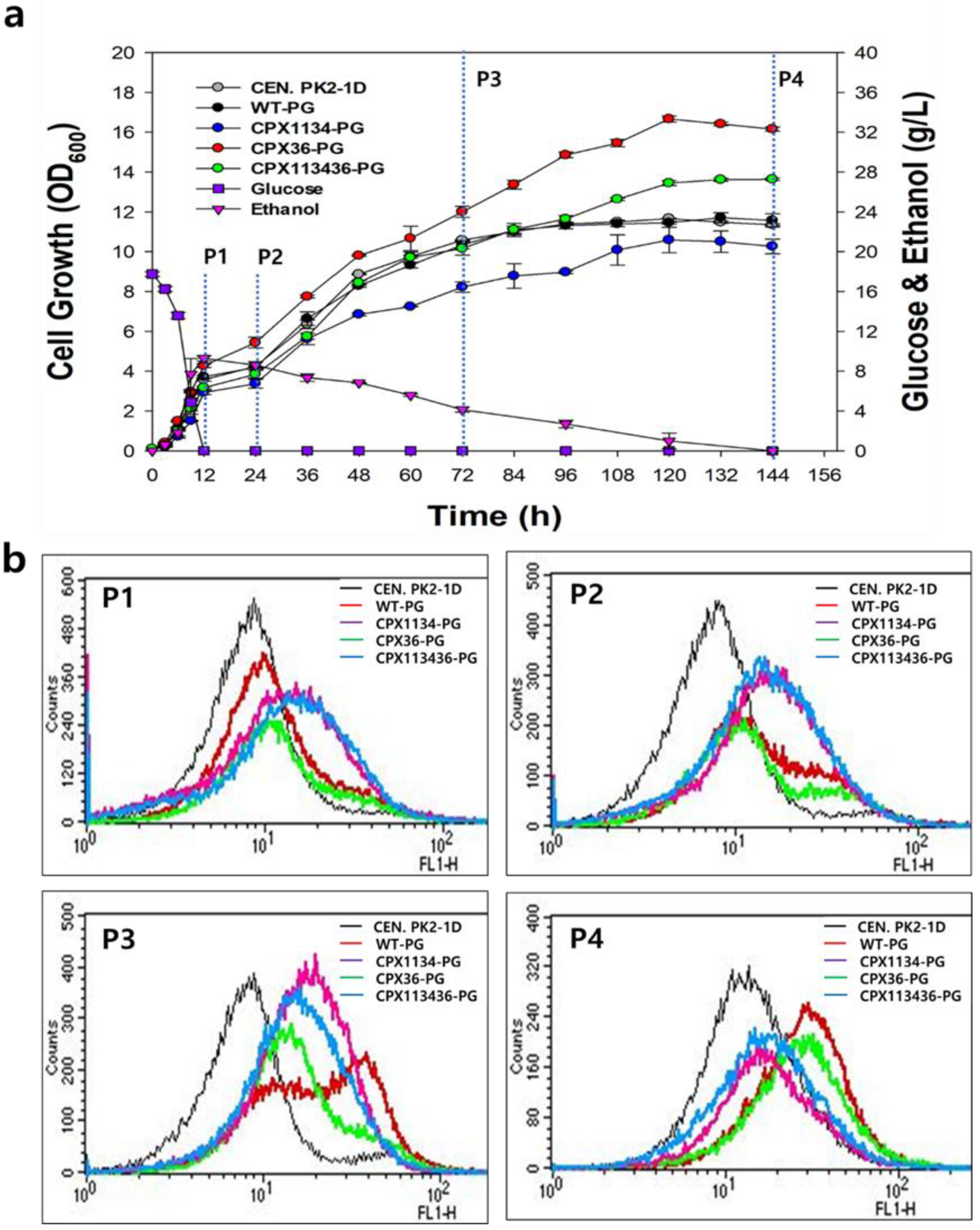 Microorganisms 10 00650 g004 Microorganisms 10 00650 g004