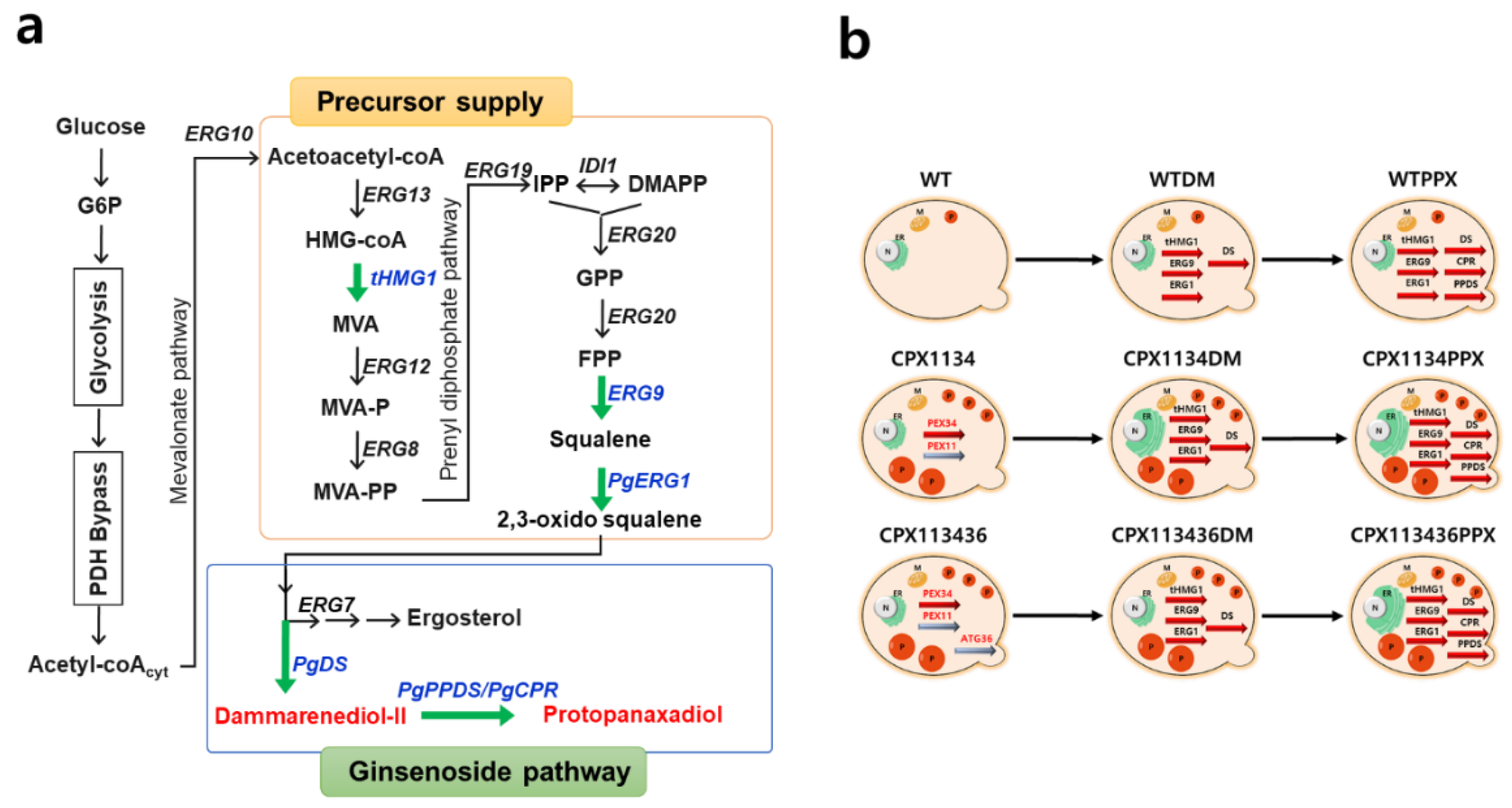 Microorganisms 10 00650 g005 Microorganisms 10 00650 g005