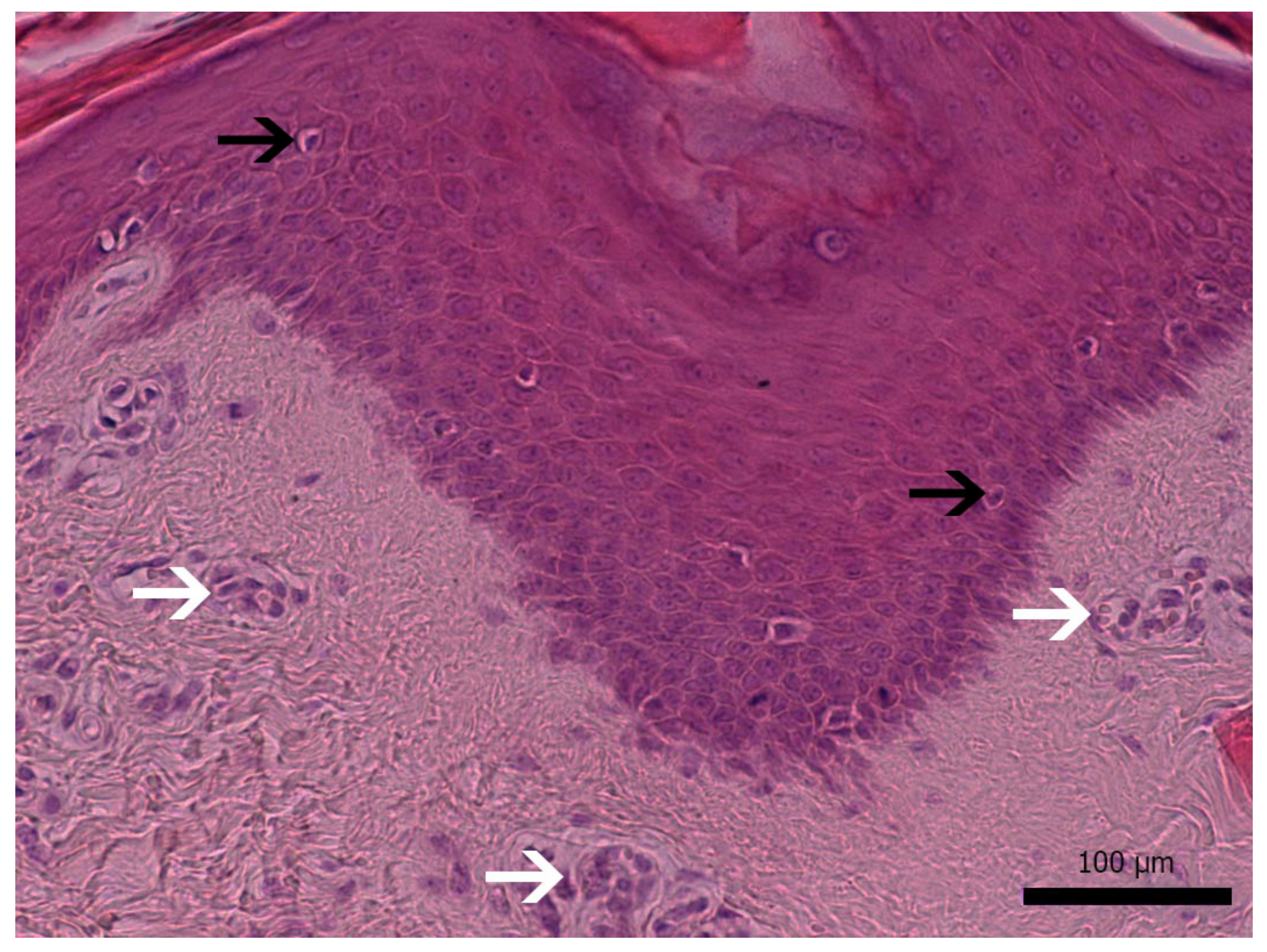 Microorganisms 10 00652 g002