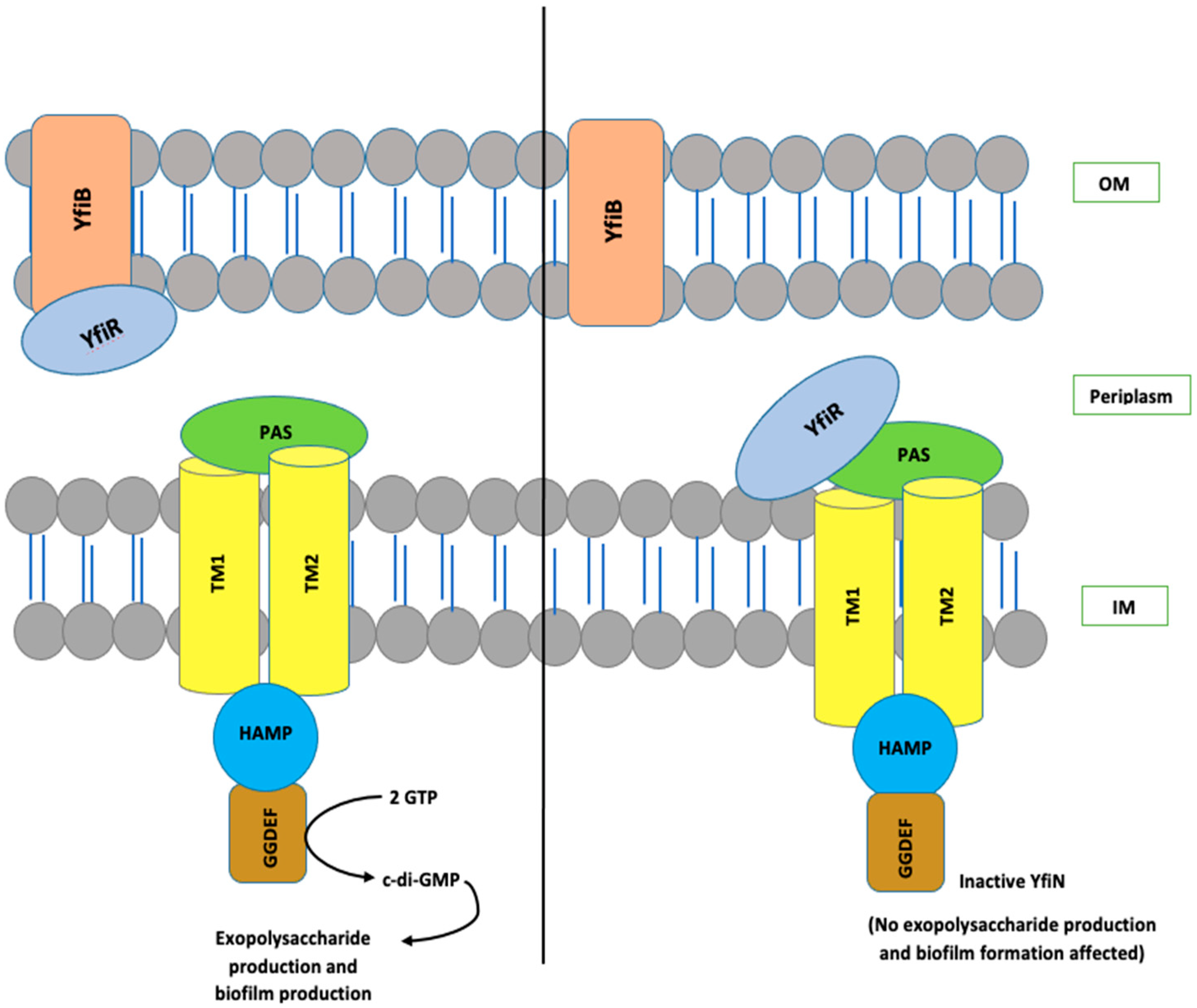 Microorganisms 10 00653 g001 Microorganisms 10 00653 g001