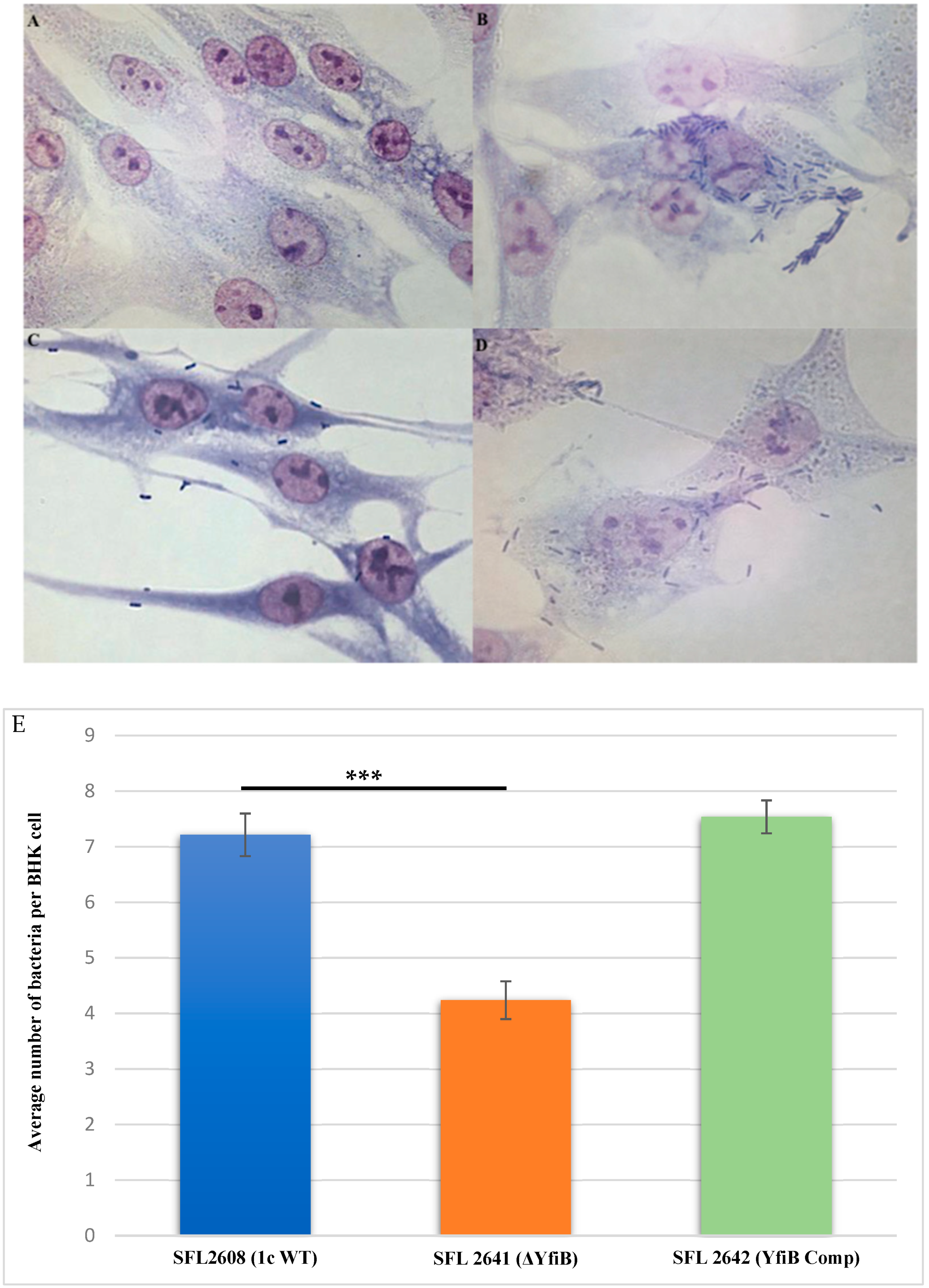 Microorganisms 10 00653 g005 Microorganisms 10 00653 g005