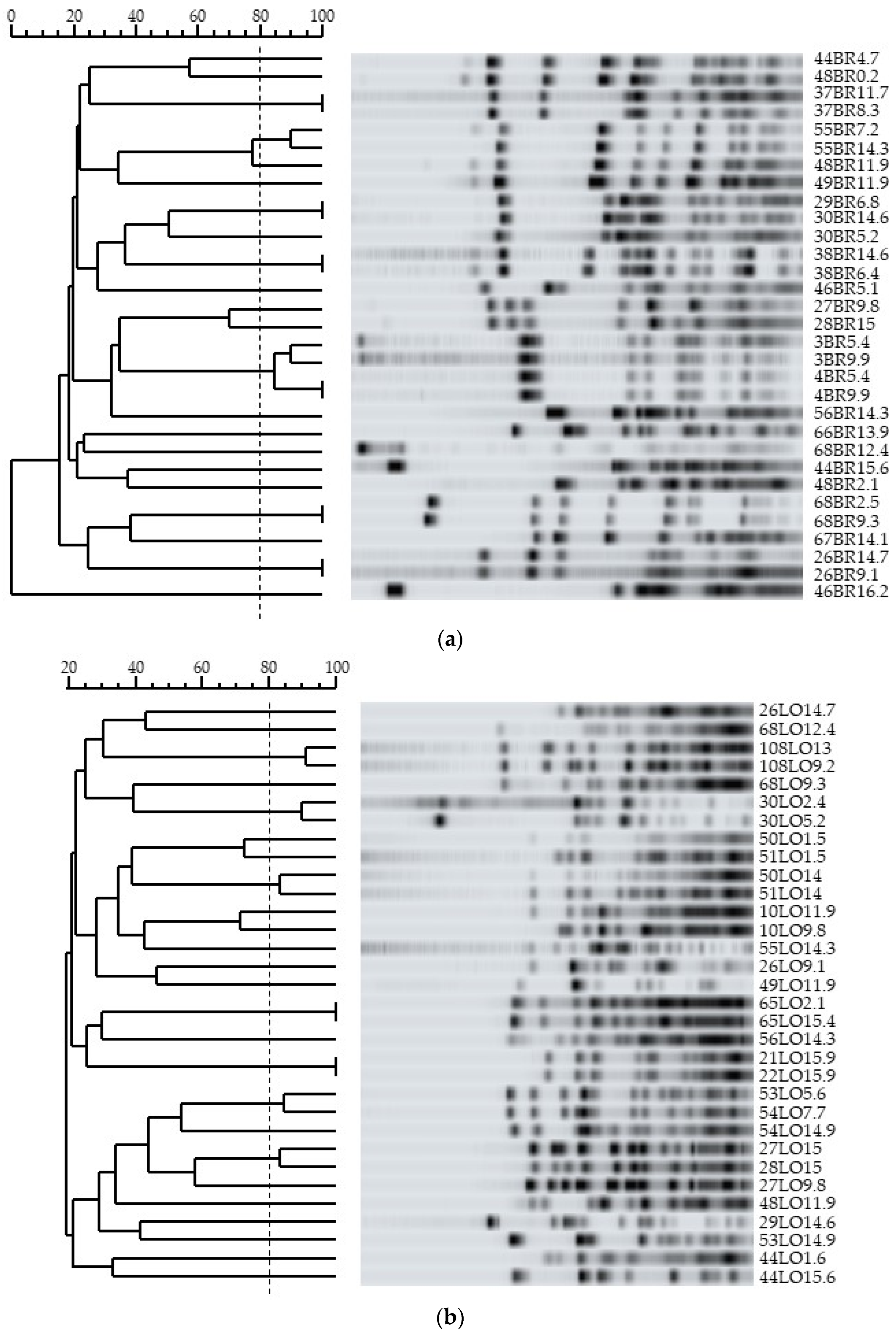 Microorganisms 10 00654 g001a