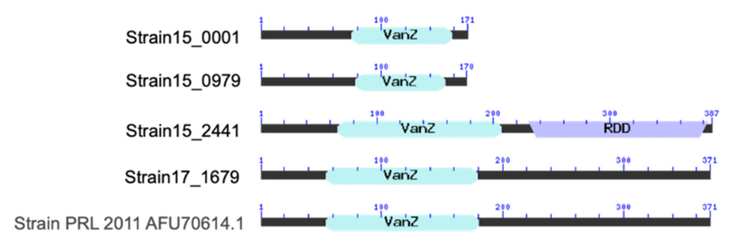 Microorganisms 10 00655 g003