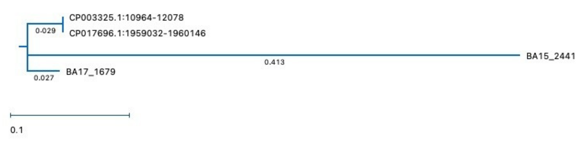 Microorganisms 10 00655 g004