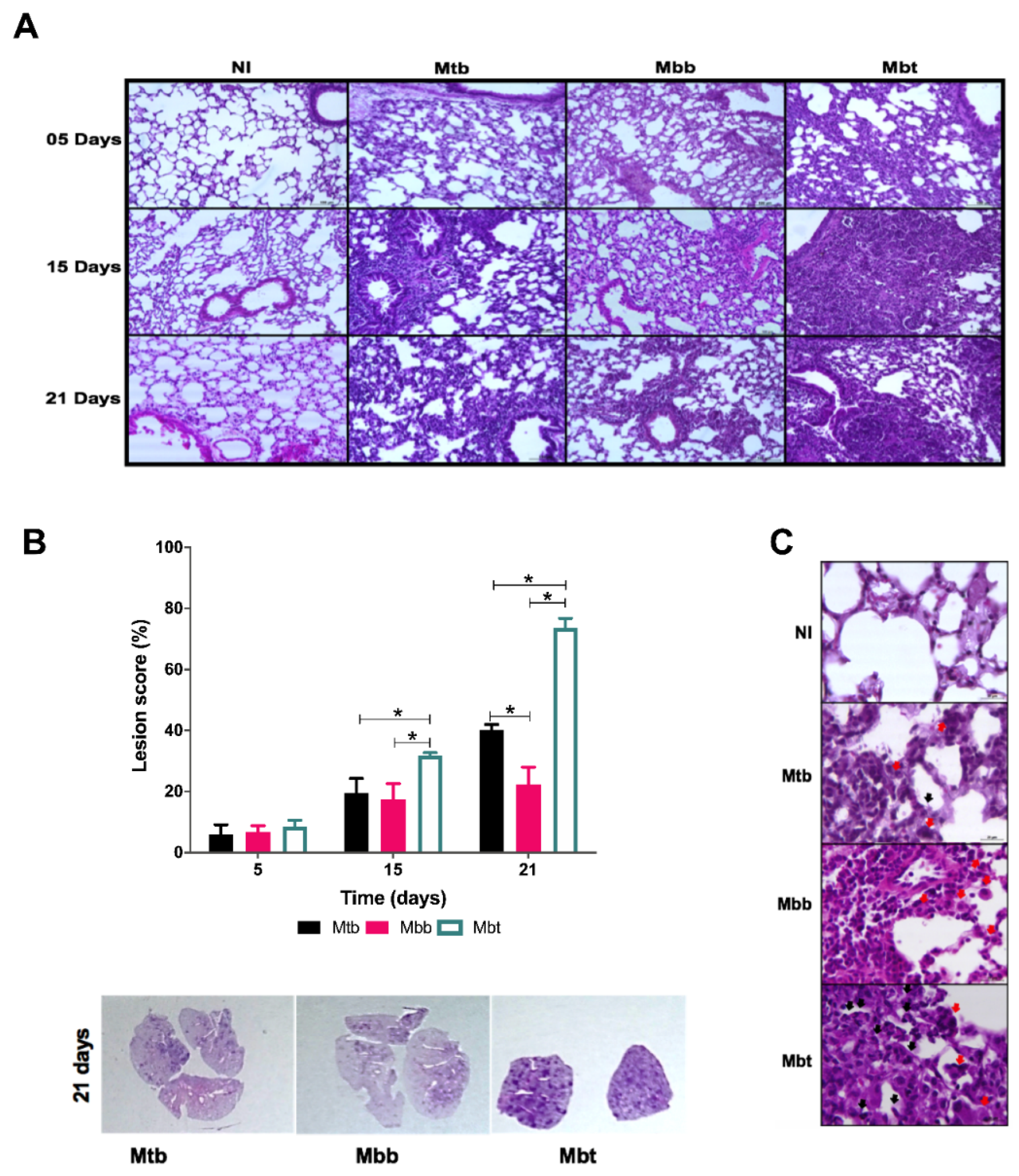 Microorganisms 10 00673 g007 Microorganisms 10 00673 g007