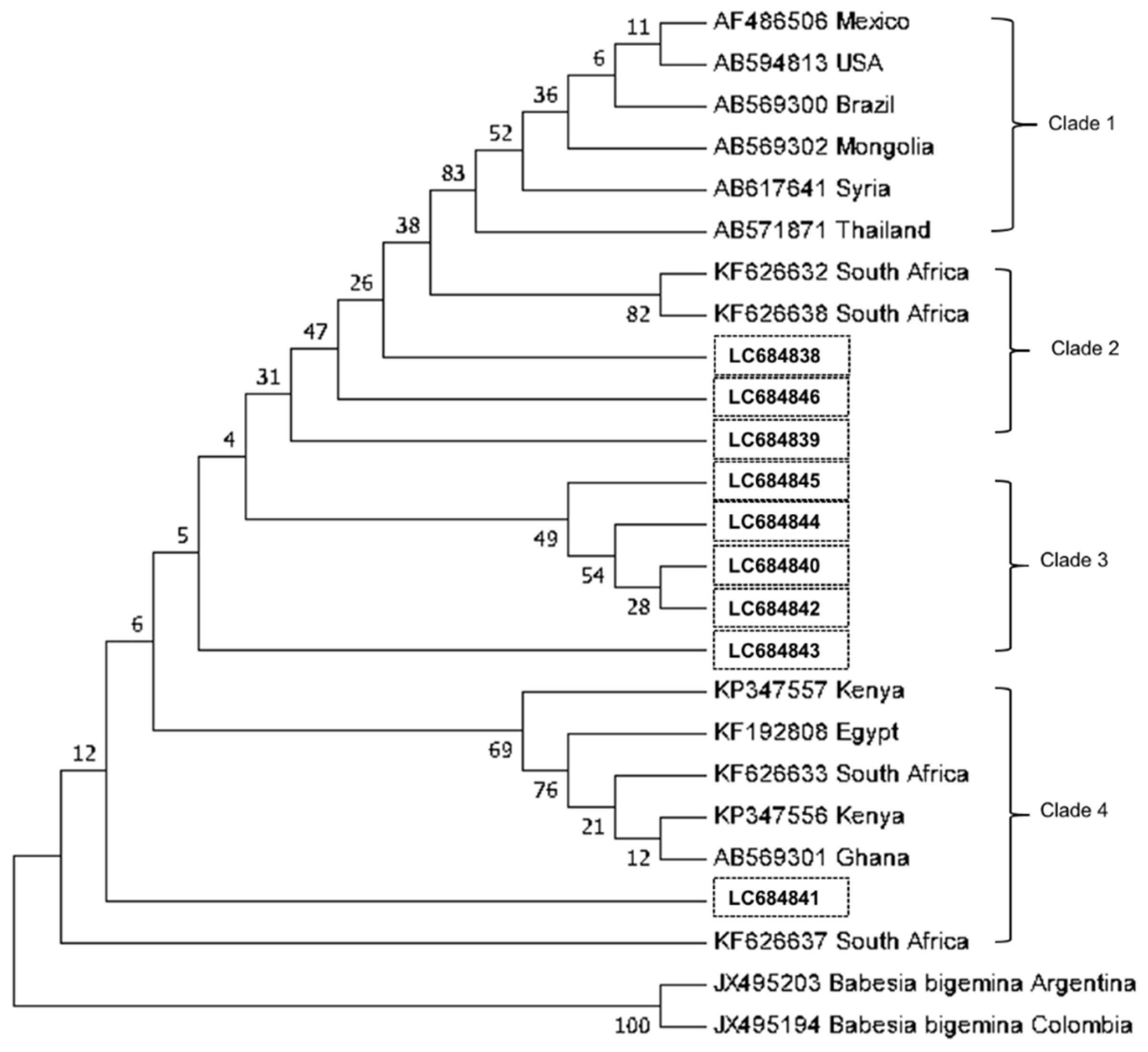 Microorganisms 10 00678 g002 550