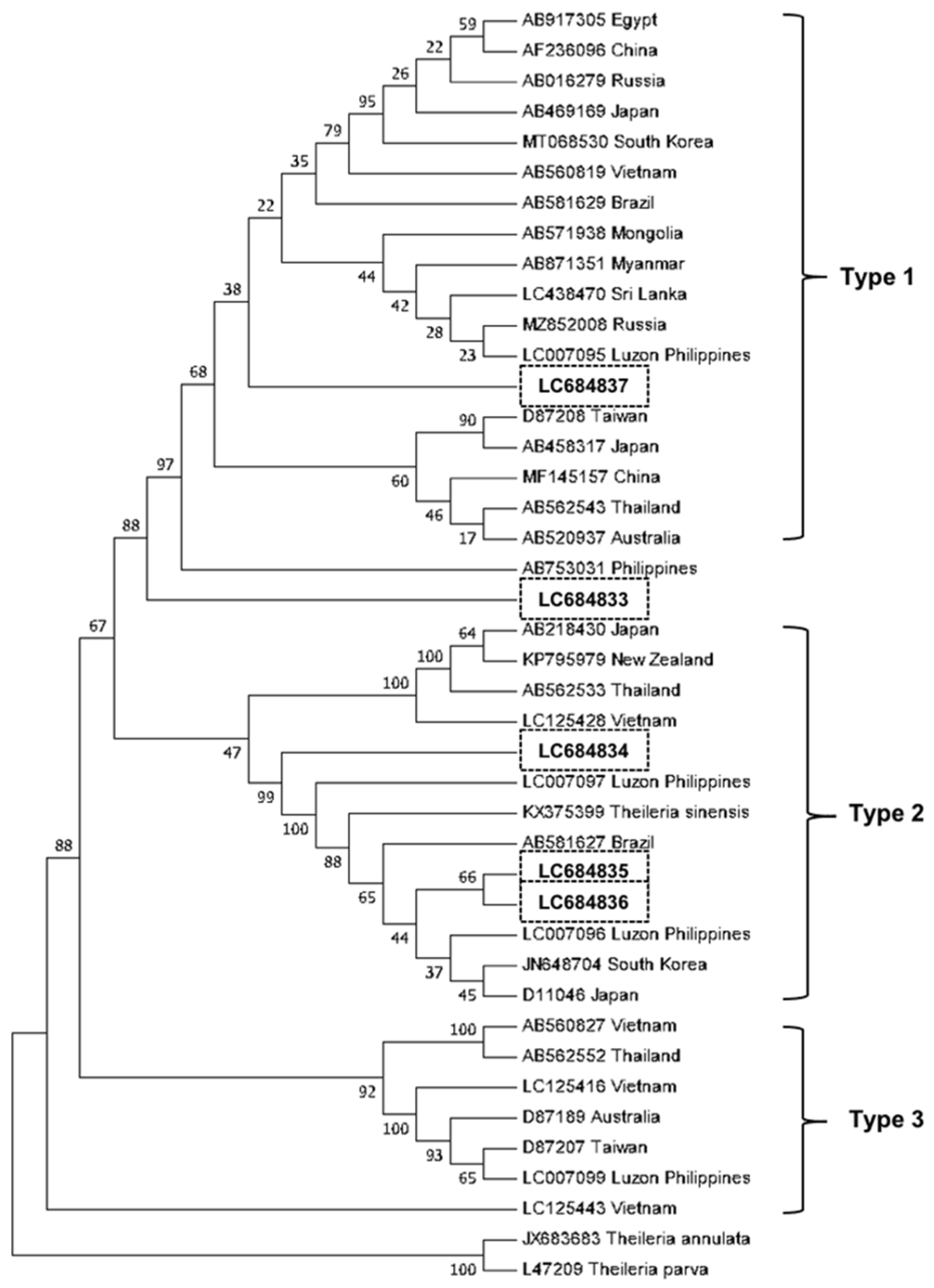 Microorganisms 10 00678 g003 550