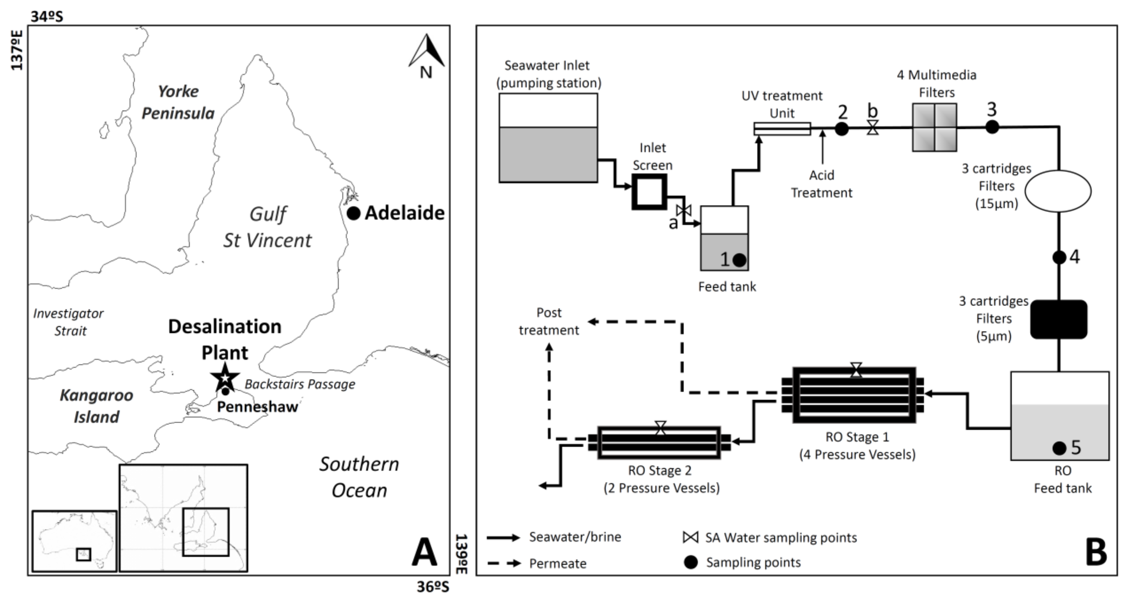 Microorganisms 10 00682 g001