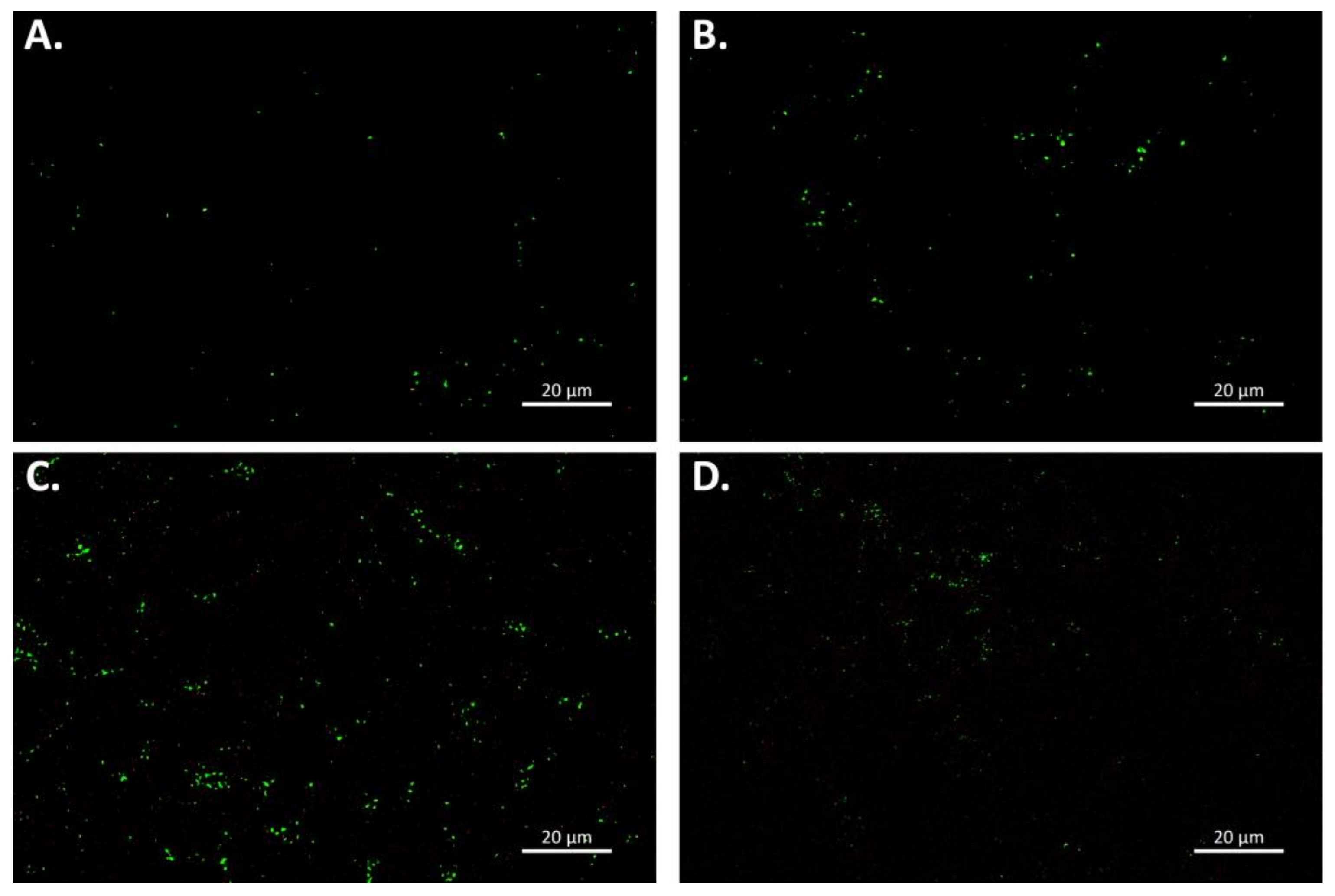 Microorganisms 10 00682 g005