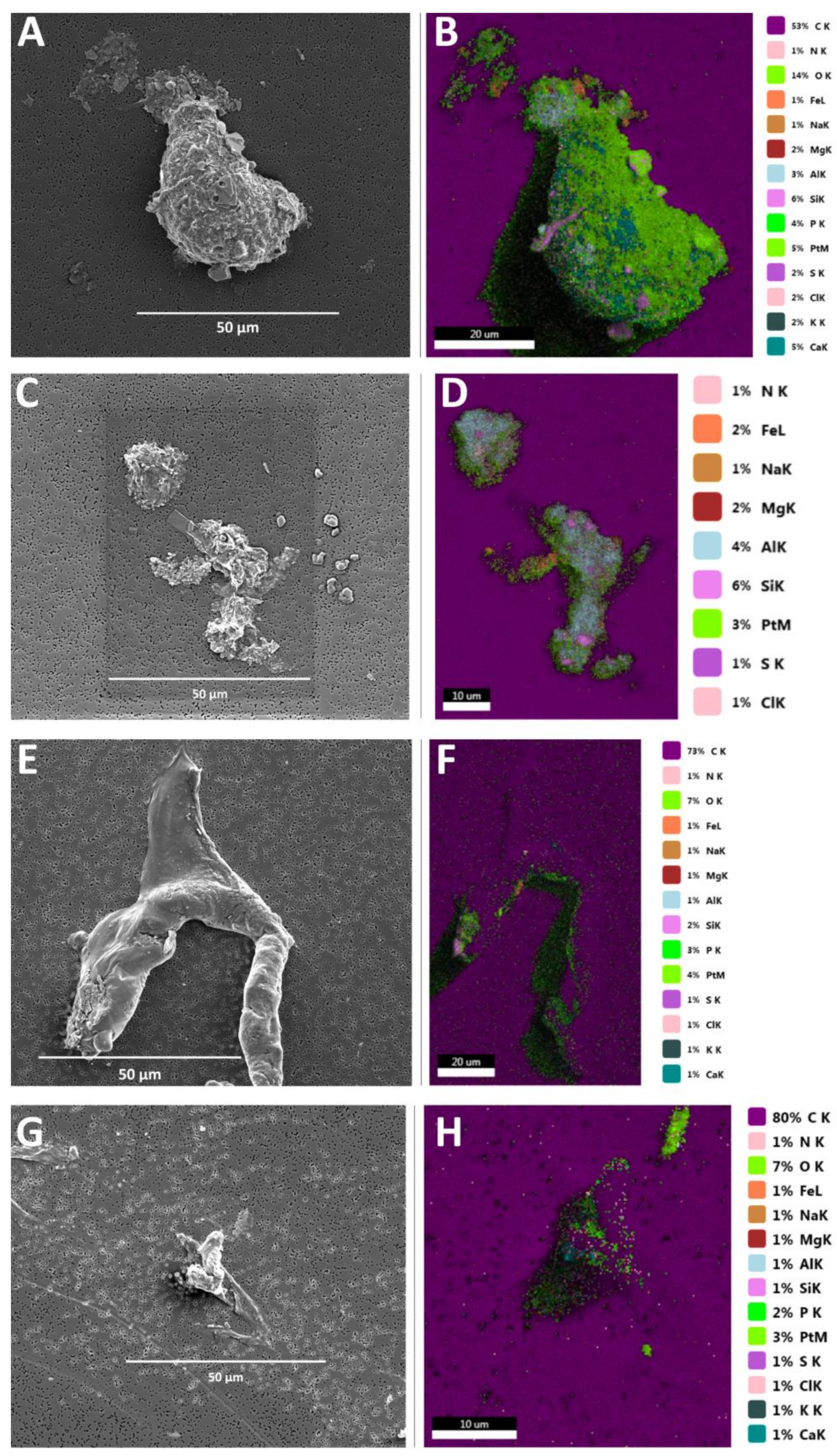 Microorganisms 10 00682 g006