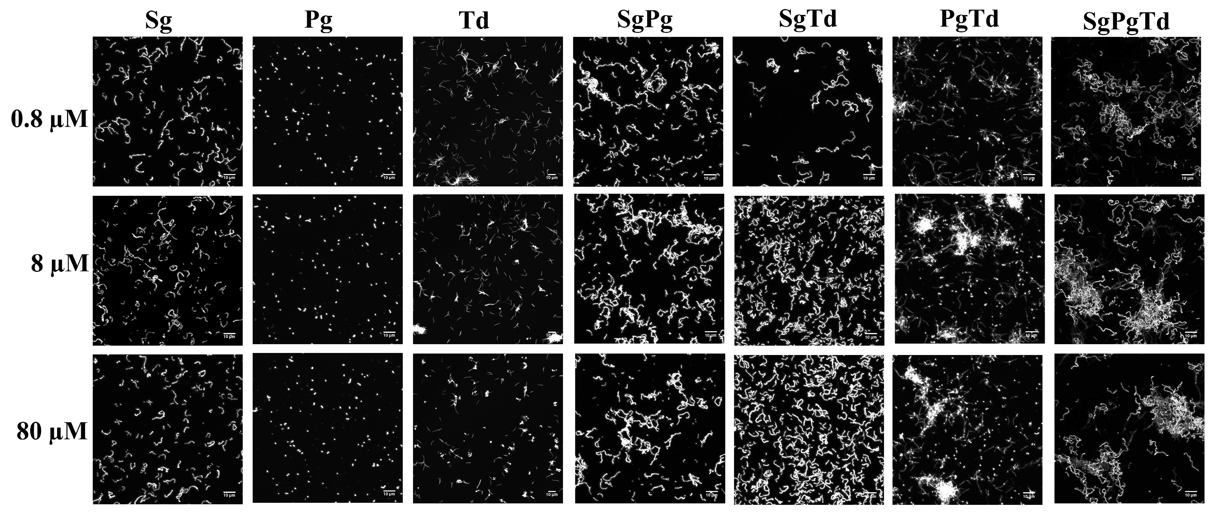 Microorganisms 10 00686 g006 Microorganisms 10 00686 g006