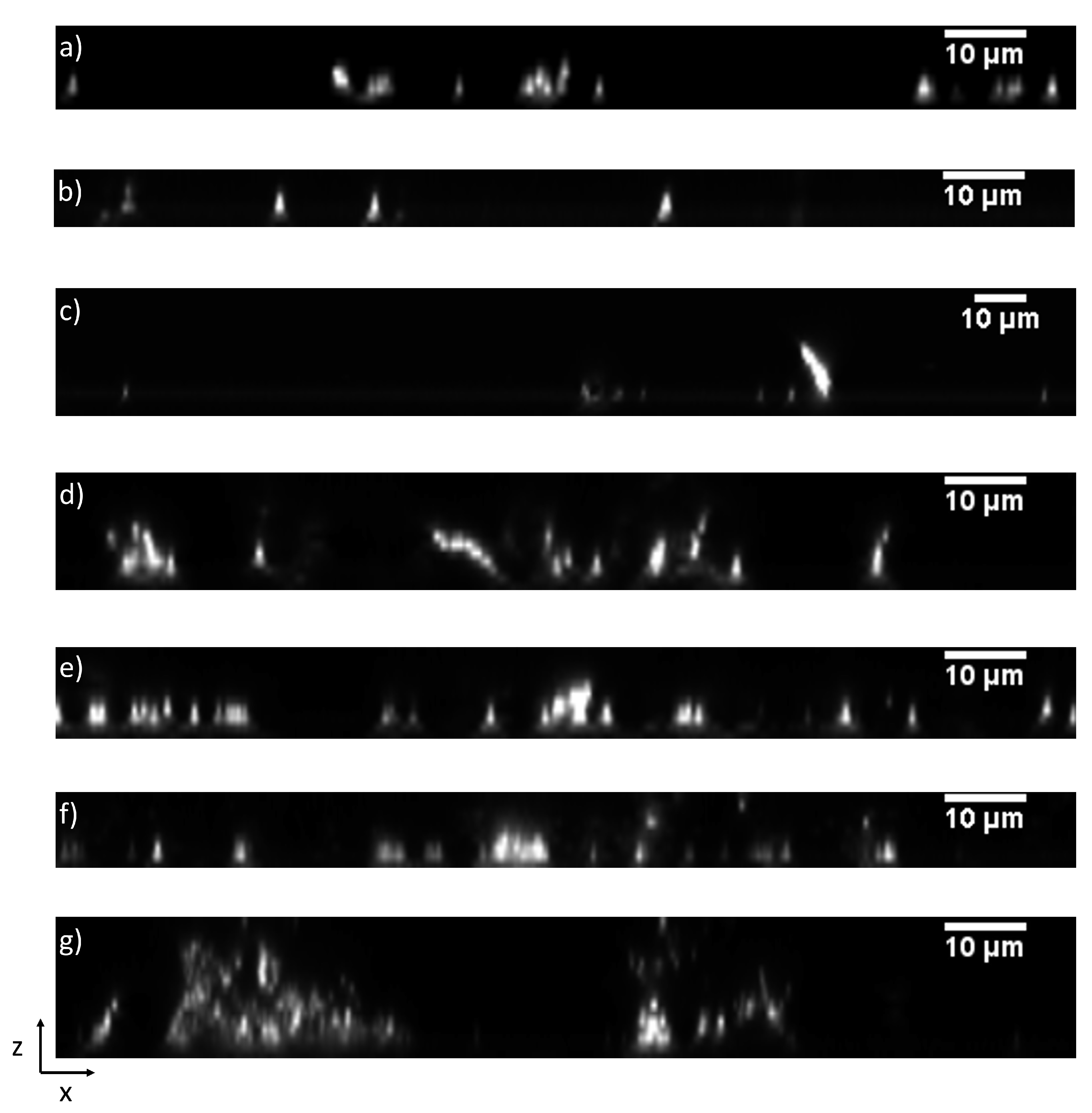 Microorganisms 10 00686 g009 Microorganisms 10 00686 g009