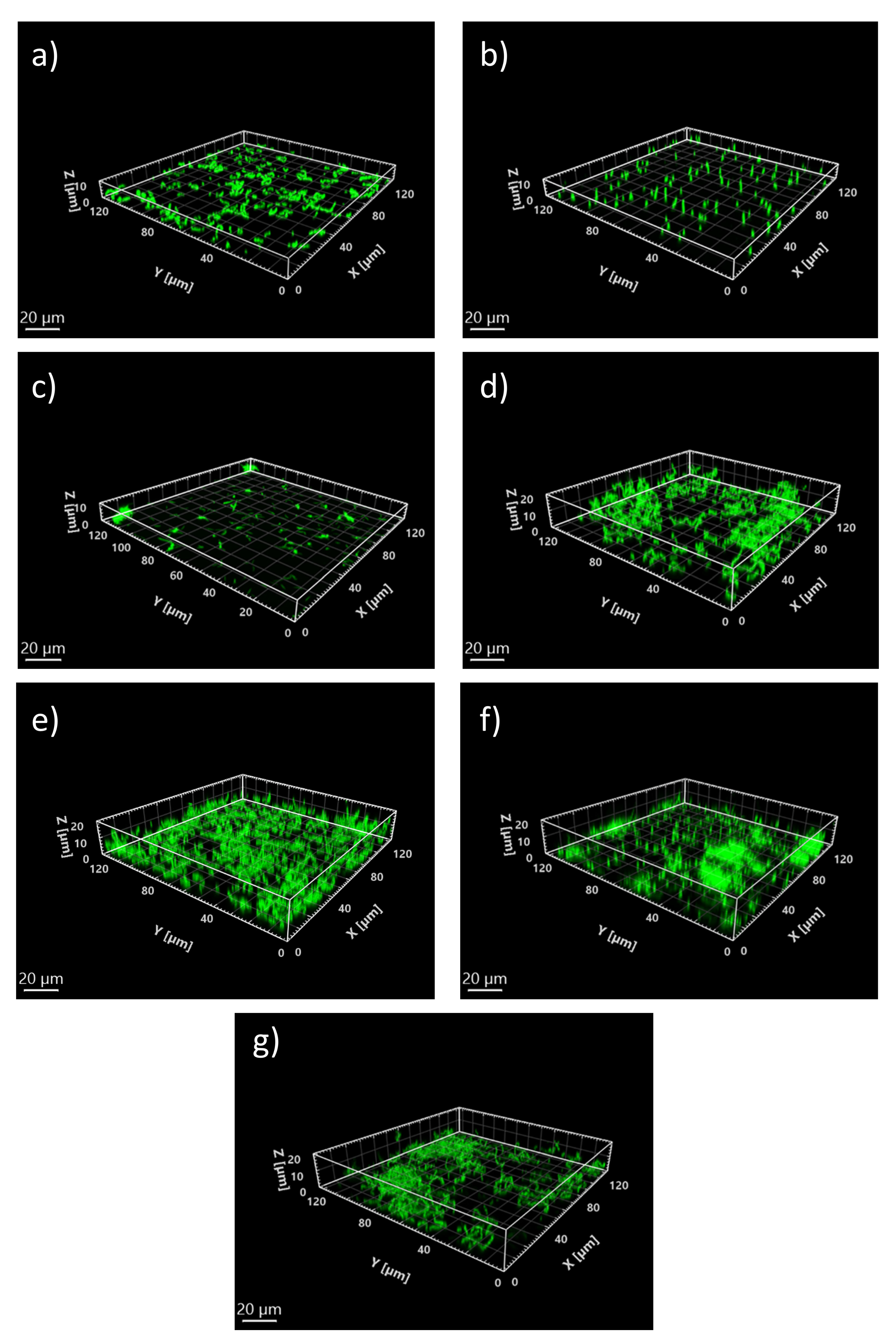 Microorganisms 10 00686 g011 Microorganisms 10 00686 g011