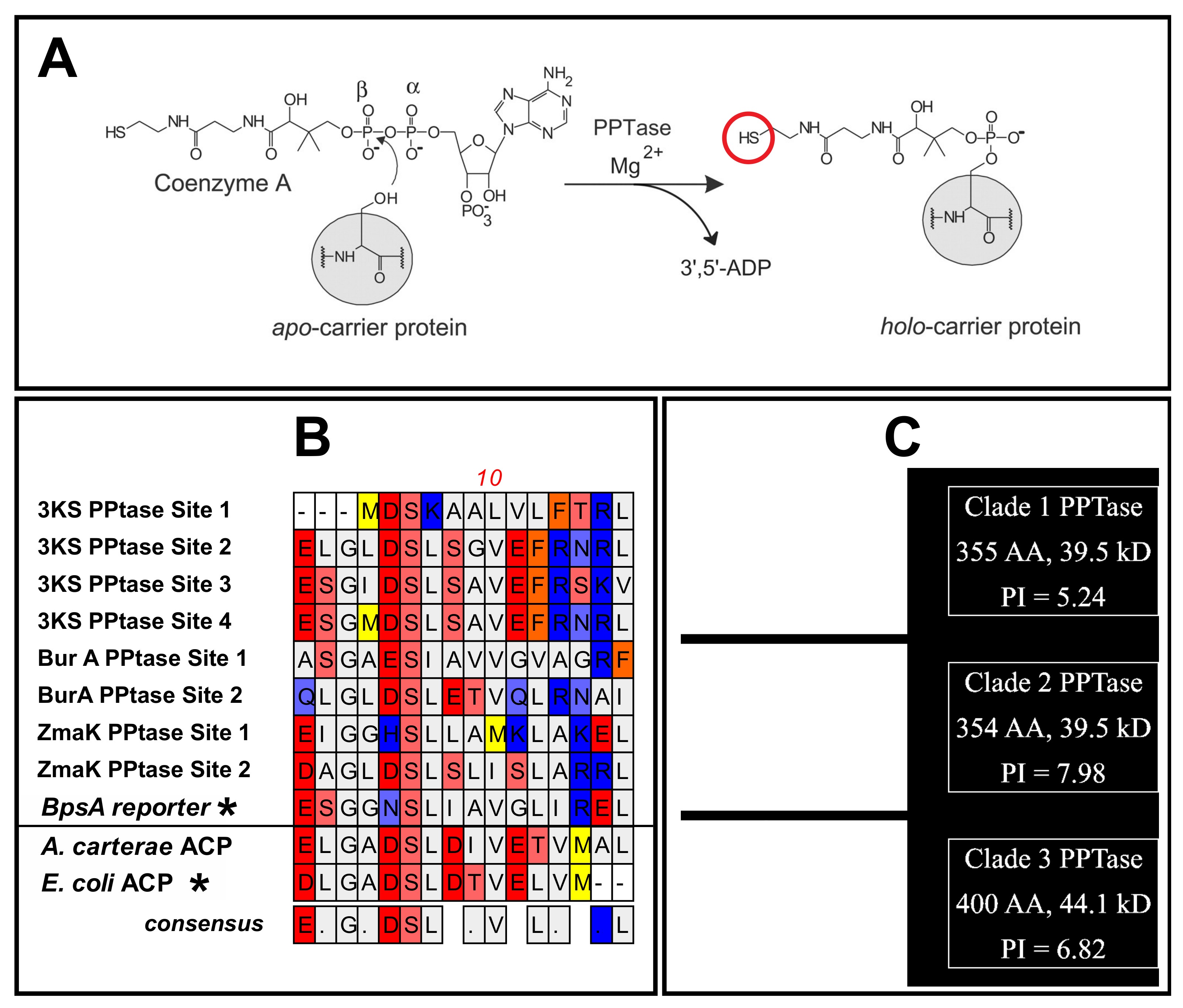 Microorganisms 10 00687 g003 Microorganisms 10 00687 g003