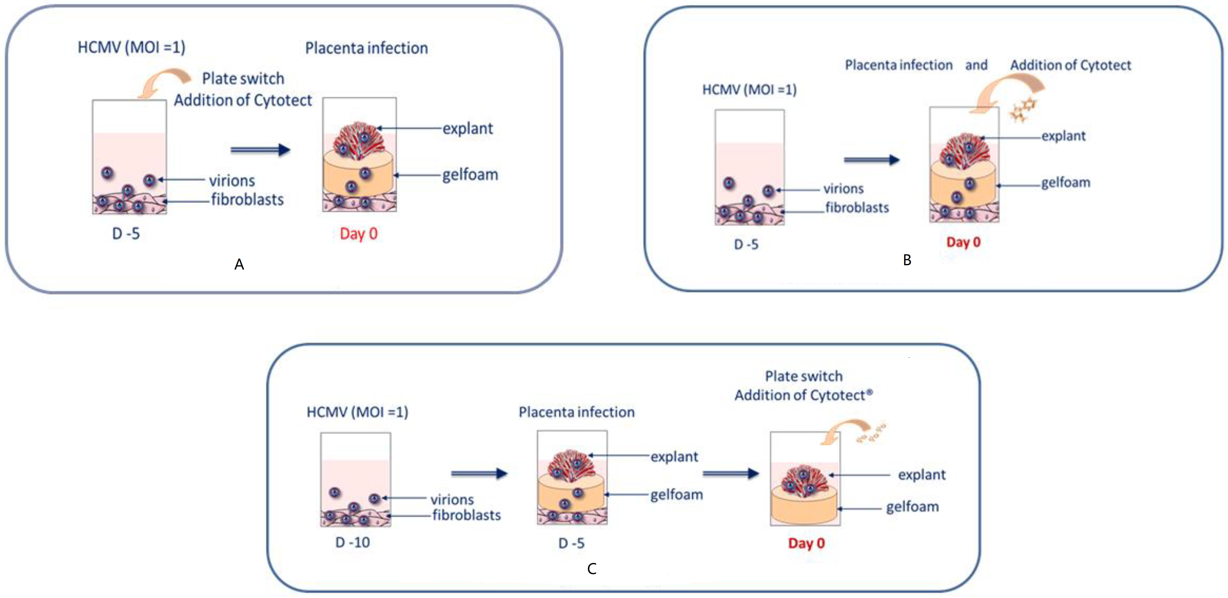 Microorganisms 10 00694 g001 550