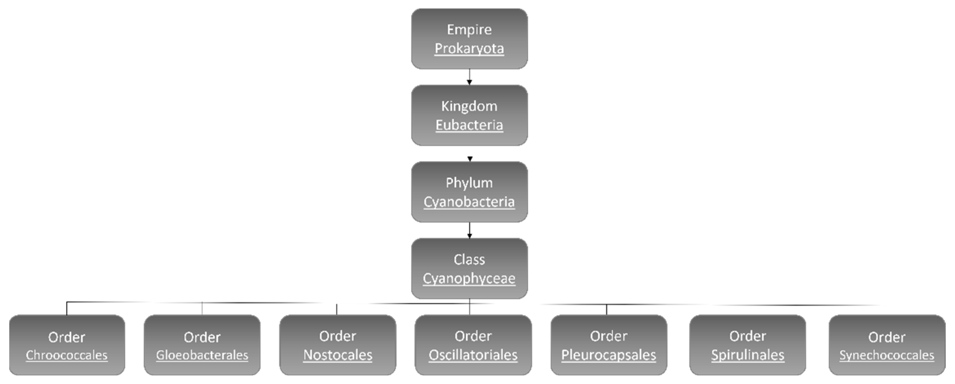 Microorganisms 10 00696 g001 550