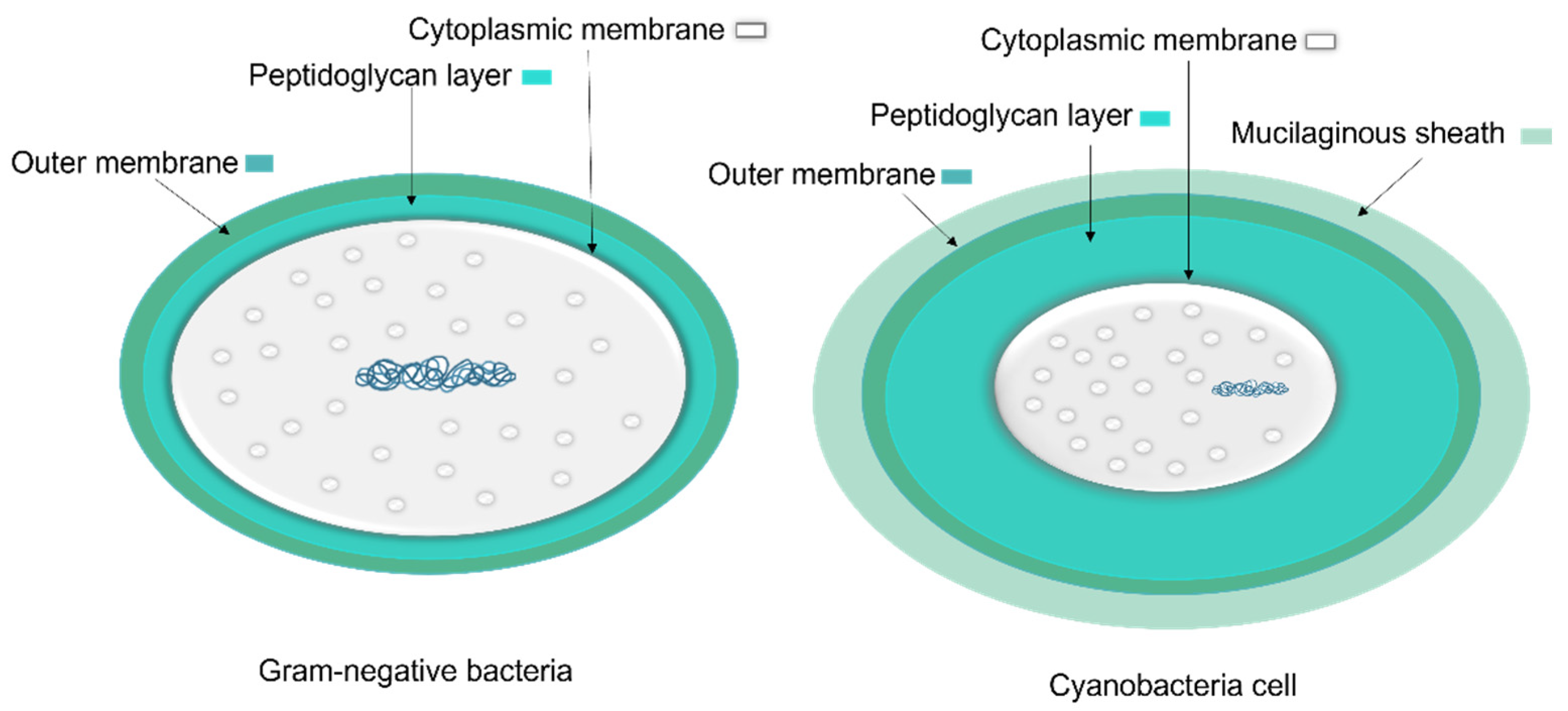 Microorganisms 10 00696 g005 550