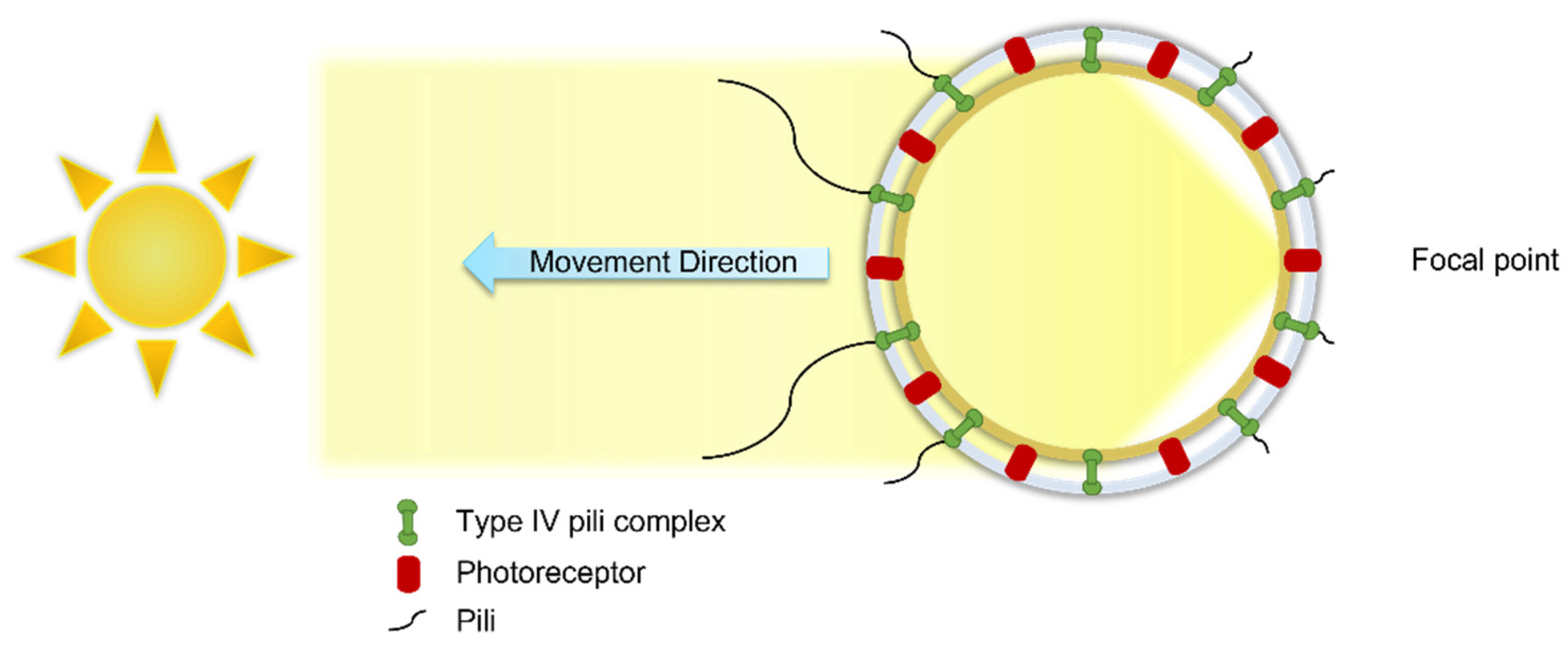 Microorganisms 10 00696 g009 550
