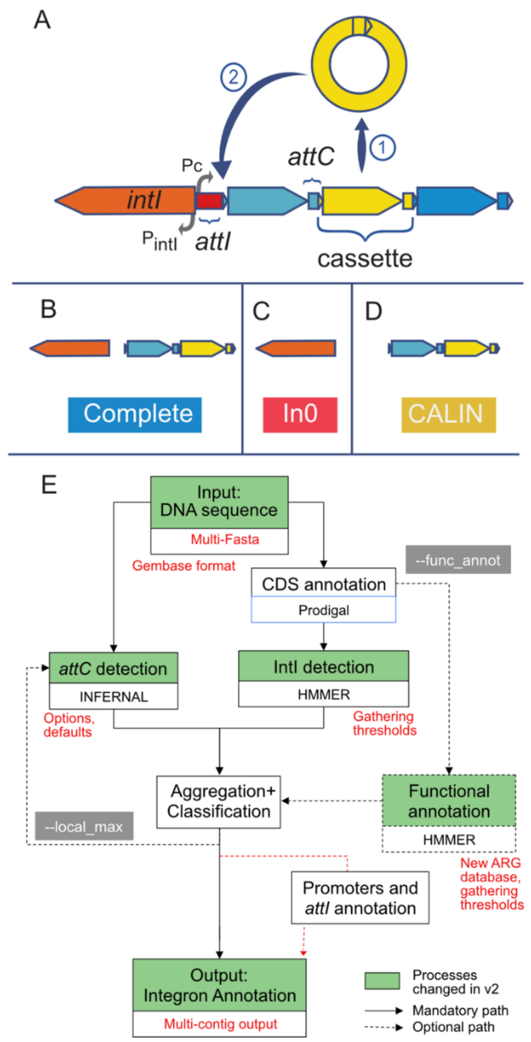Microorganisms 10 00700 g001