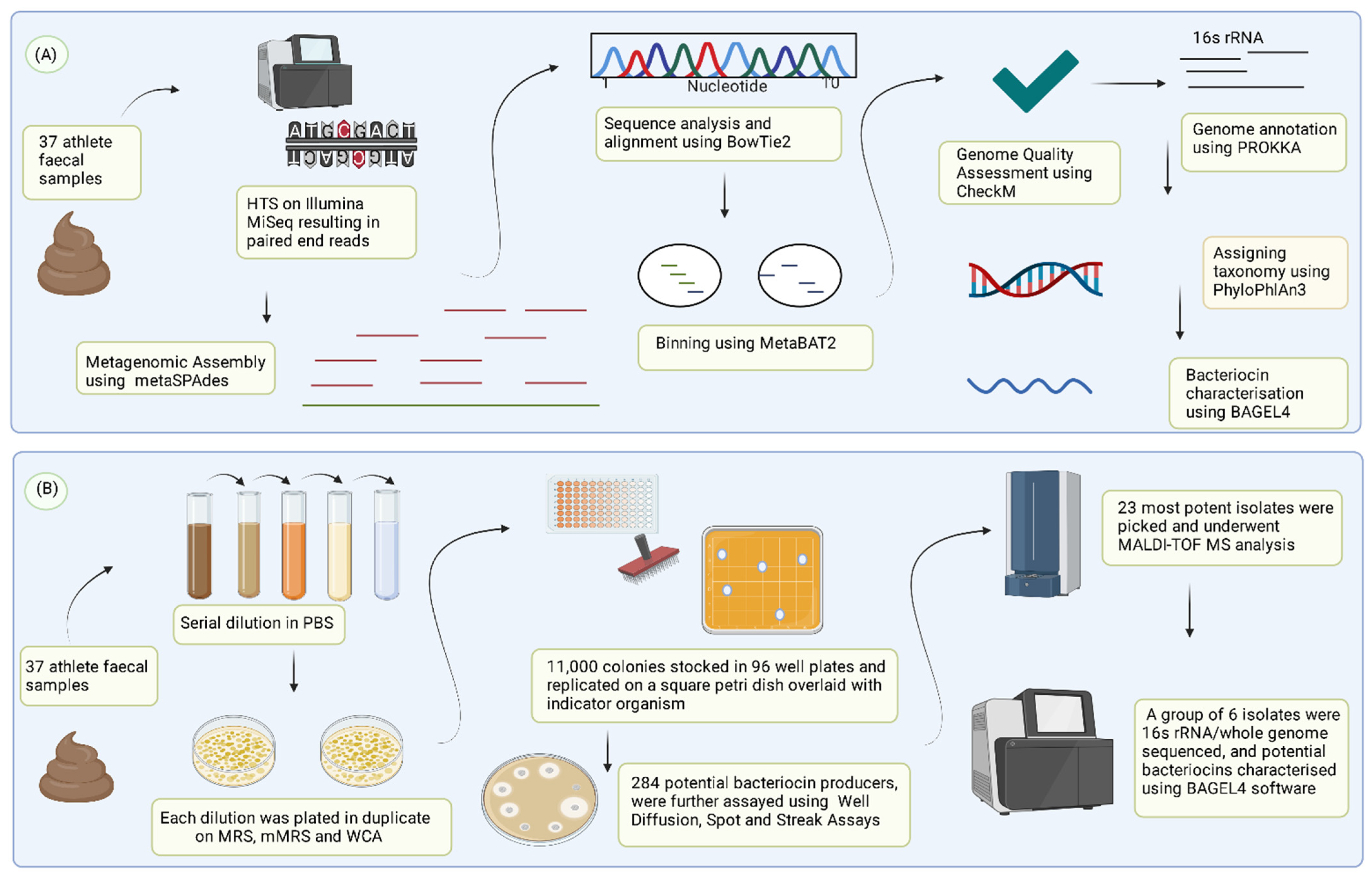 Microorganisms 10 00701 g001 Microorganisms 10 00701 g001