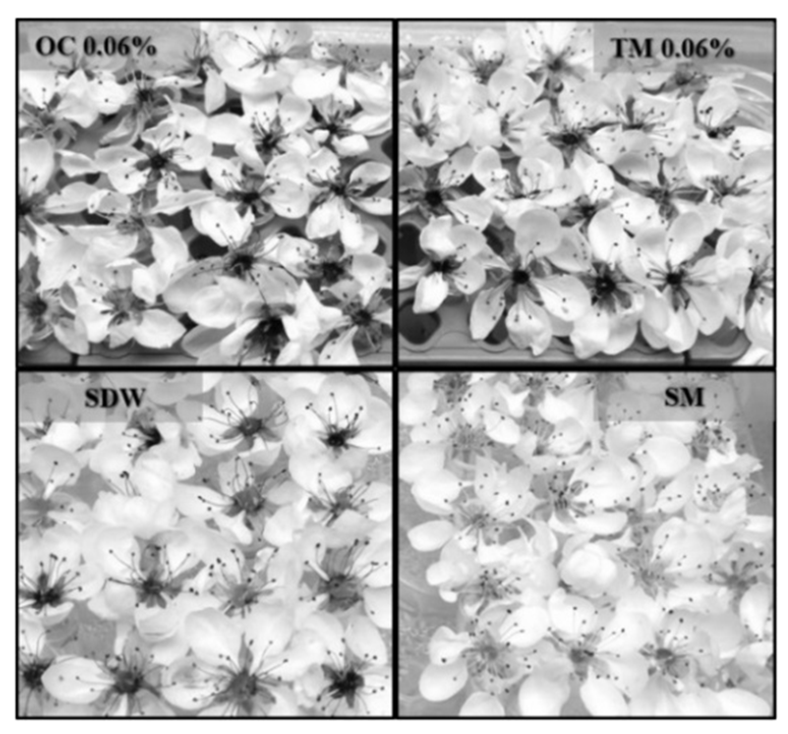 Microorganisms 10 00702 g002 Microorganisms 10 00702 g002