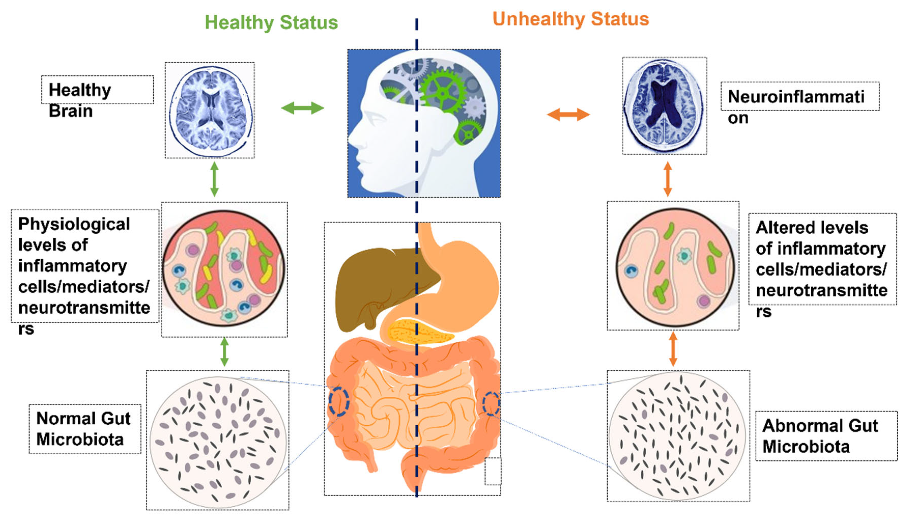 Microbiome and Human Health: Current Understanding, Engineering, and  Enabling Technologies