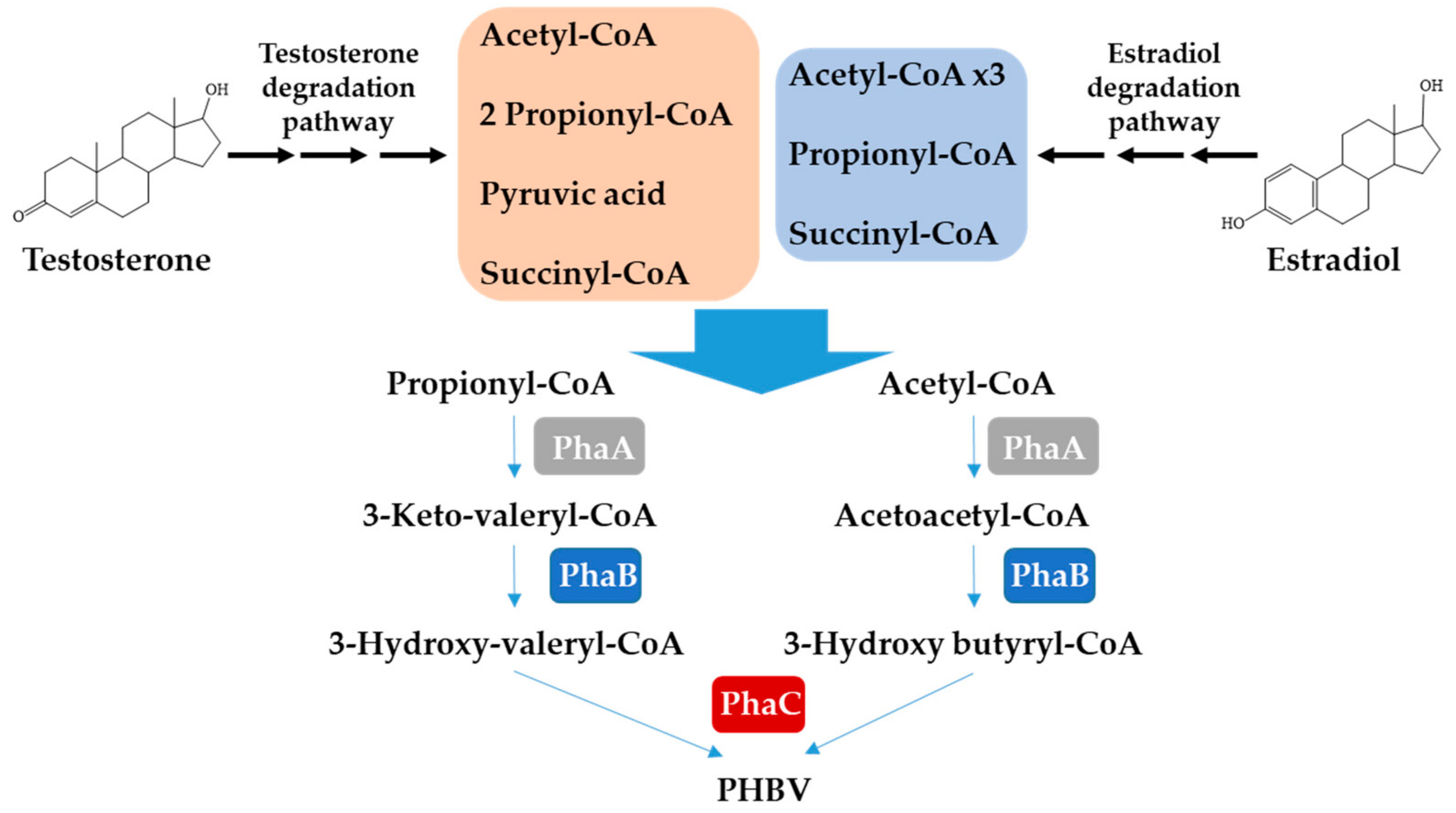 Microorganisms 10 00706 g004 Microorganisms 10 00706 g004