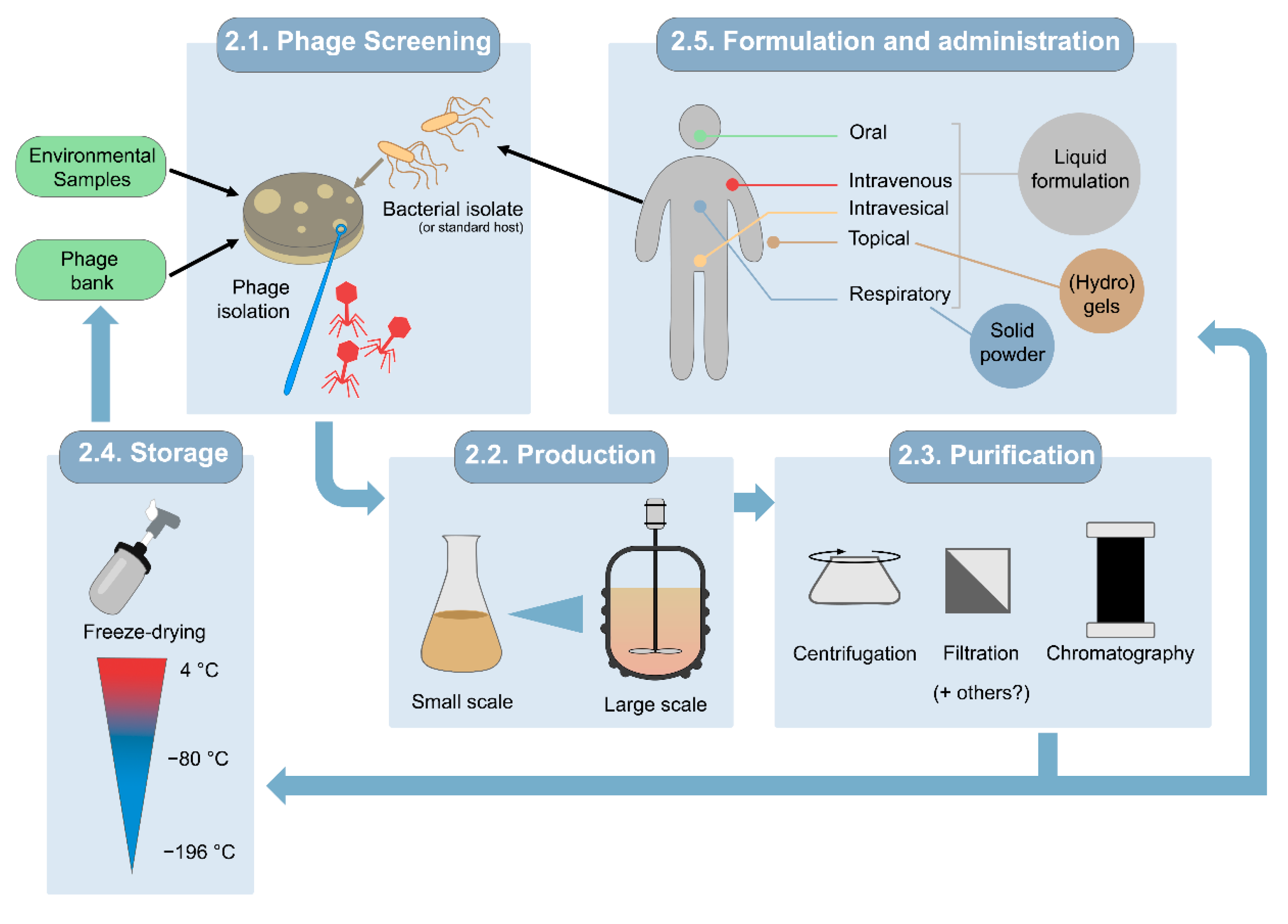 Microorganisms 10 00717 g001