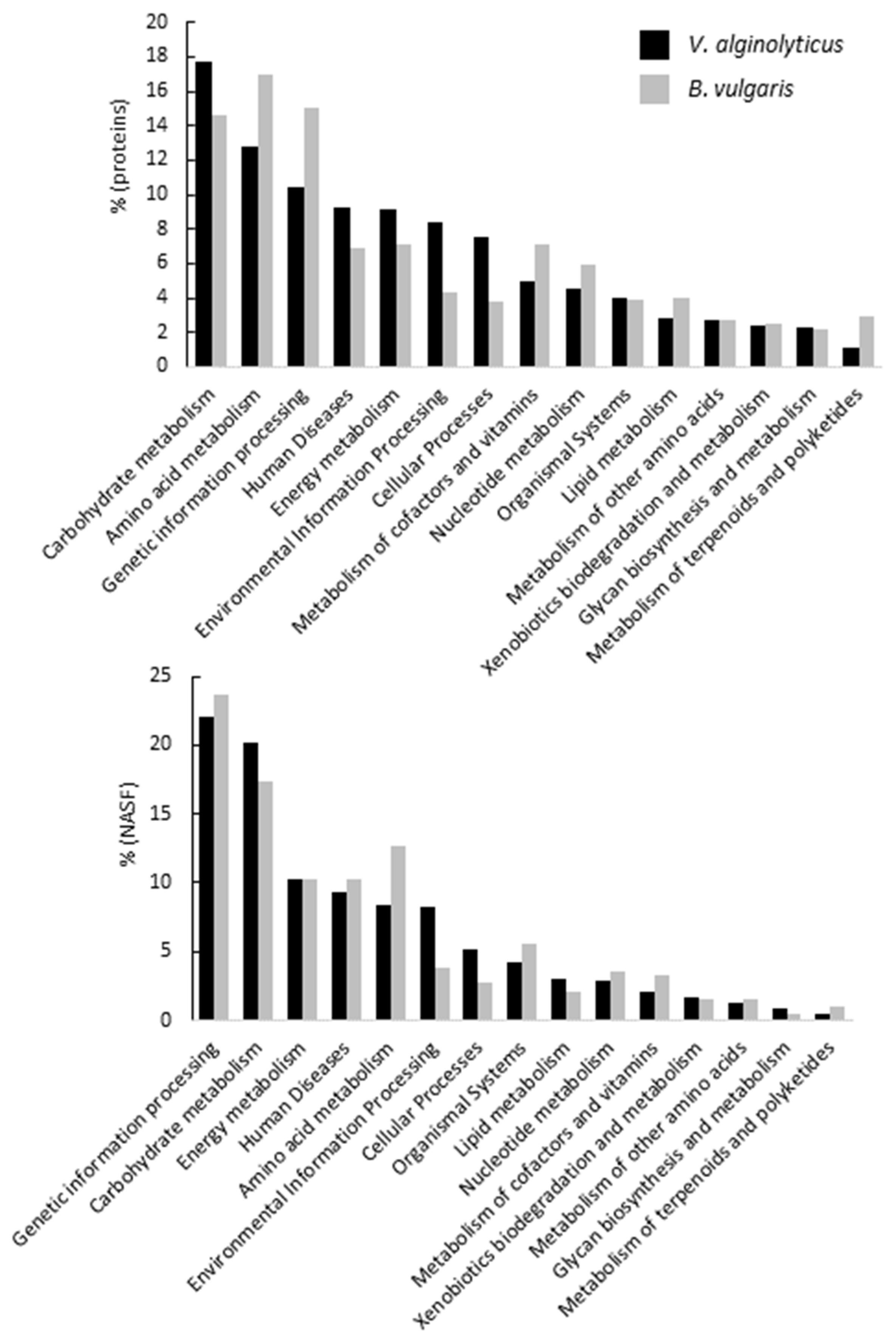 Microorganisms 10 00719 g003 550