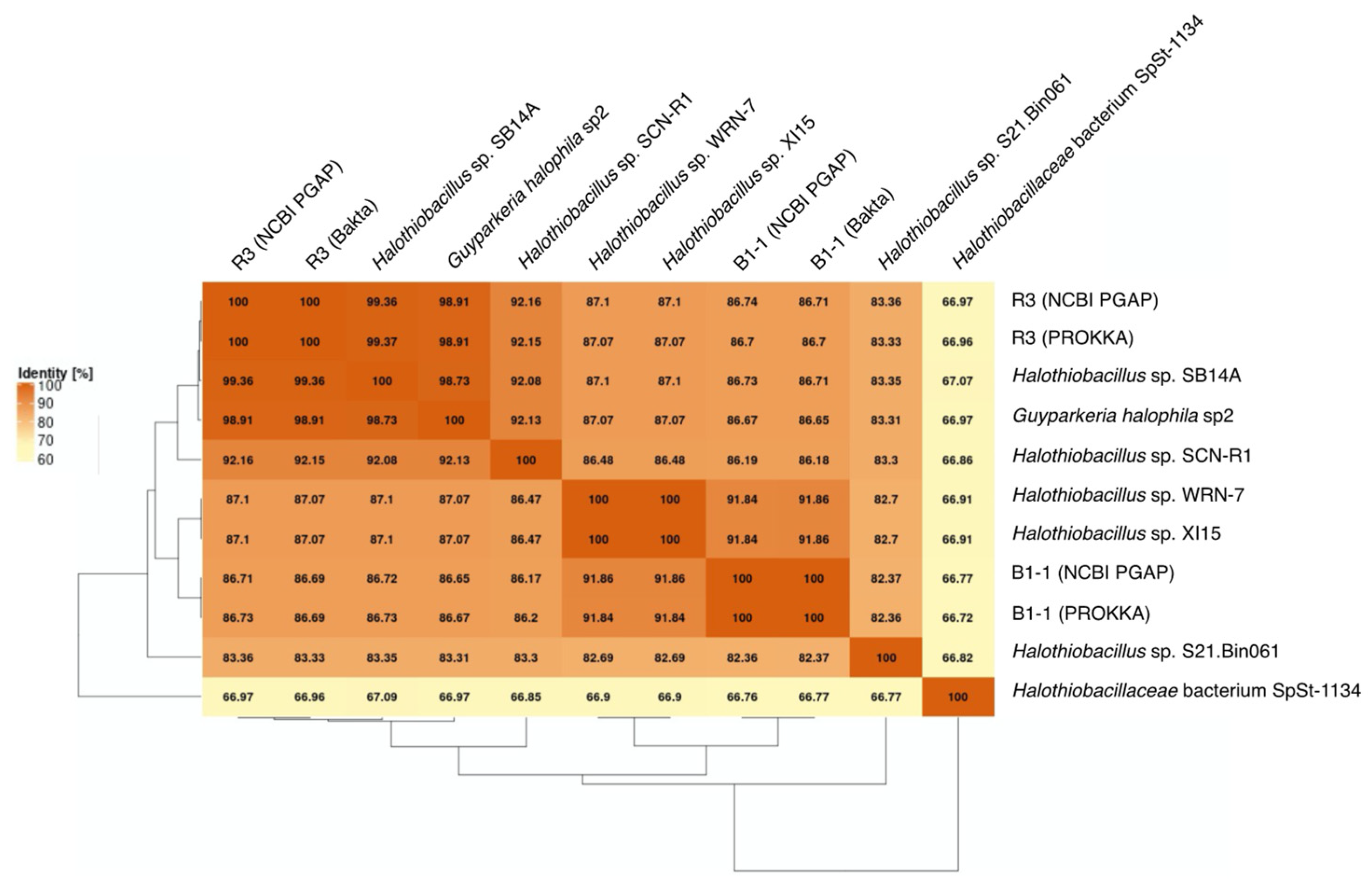 Microorganisms 10 00724 g002