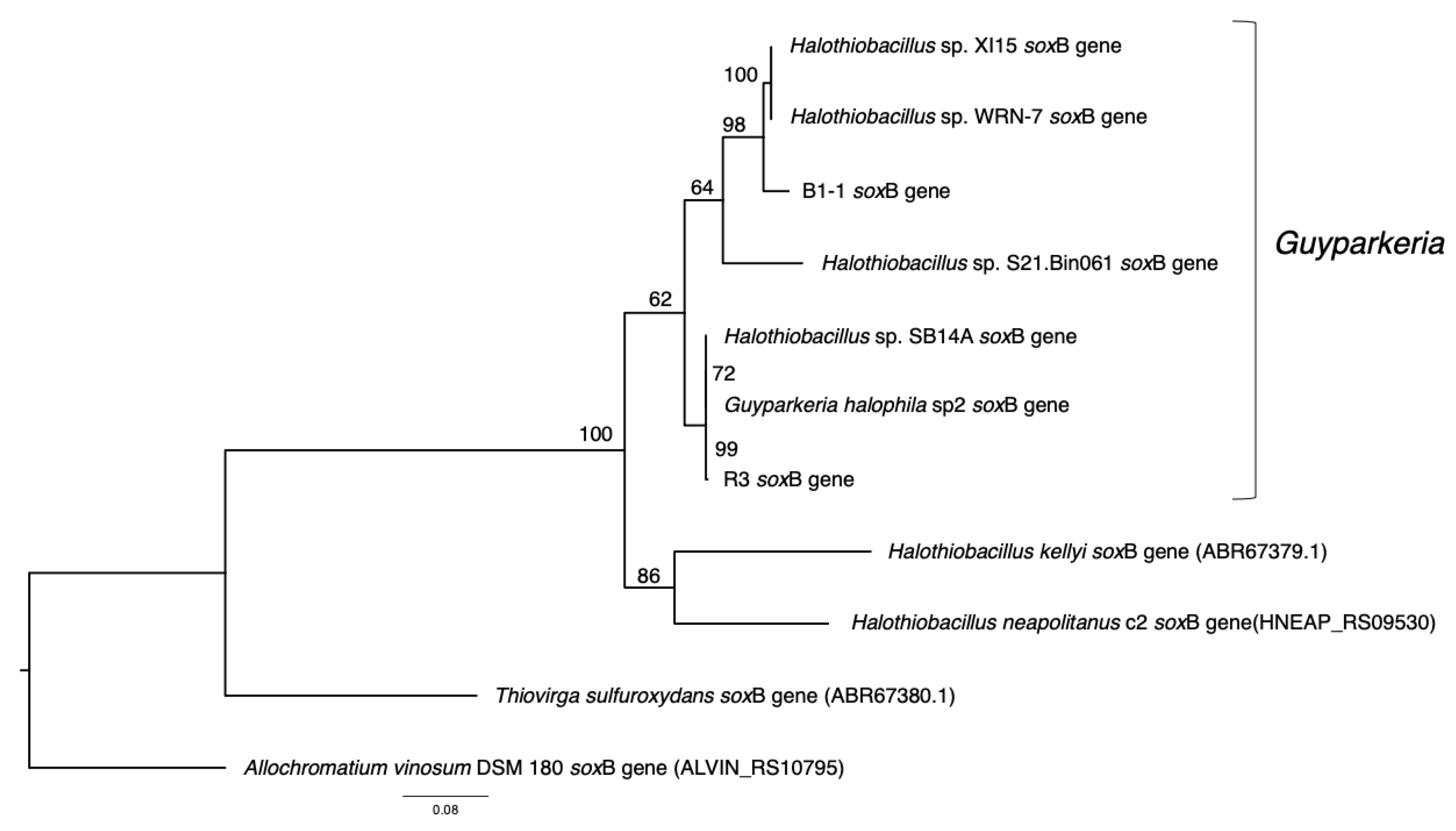 Microorganisms 10 00724 g005
