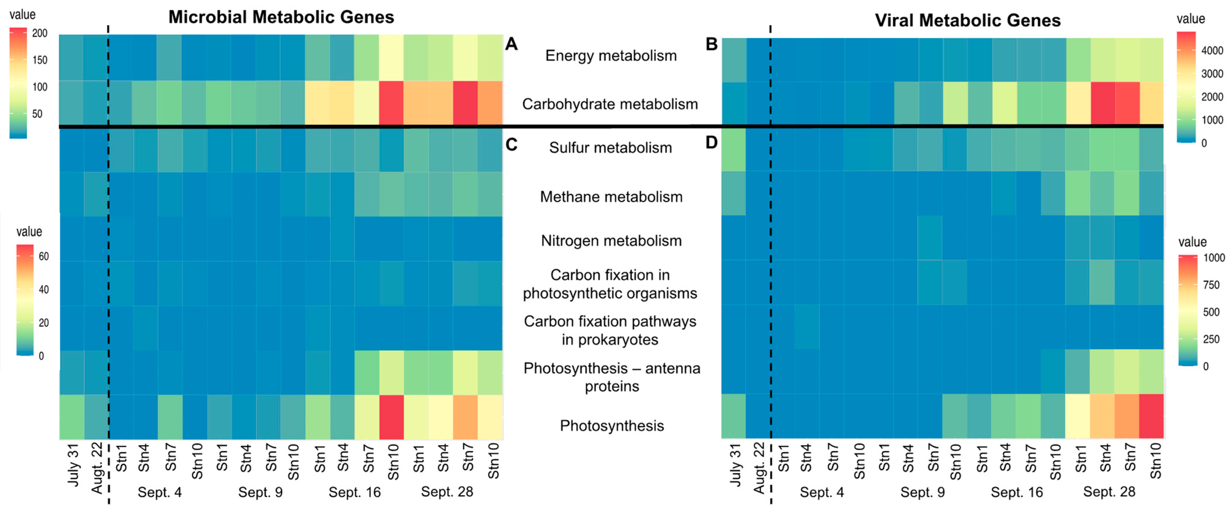 Microorganisms 10 00729 g006