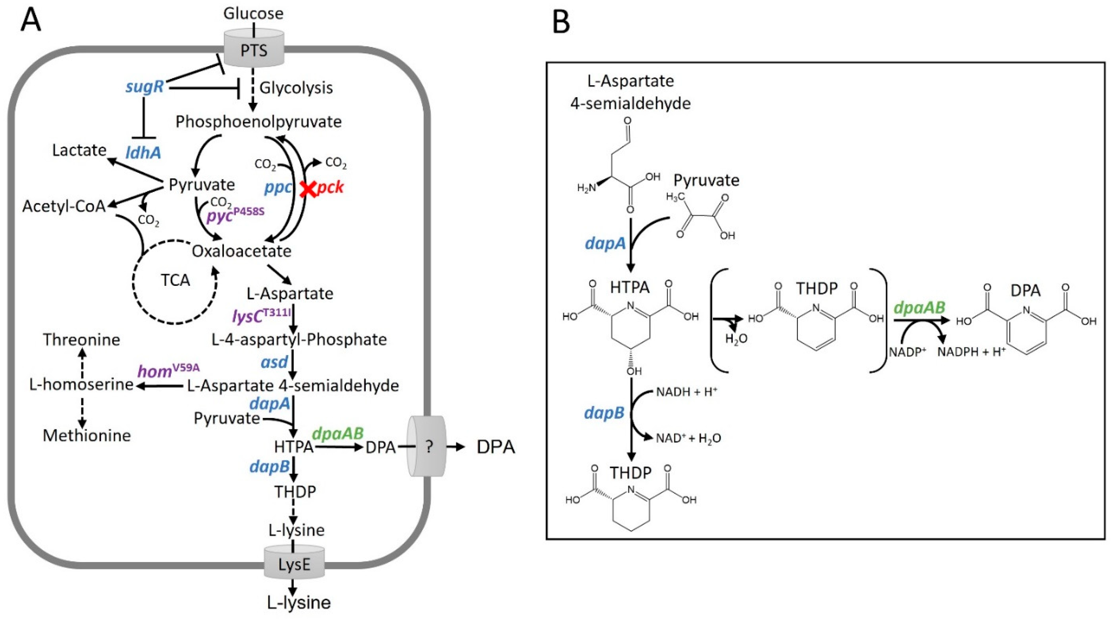 Microorganisms 10 00730 g001 Microorganisms 10 00730 g001