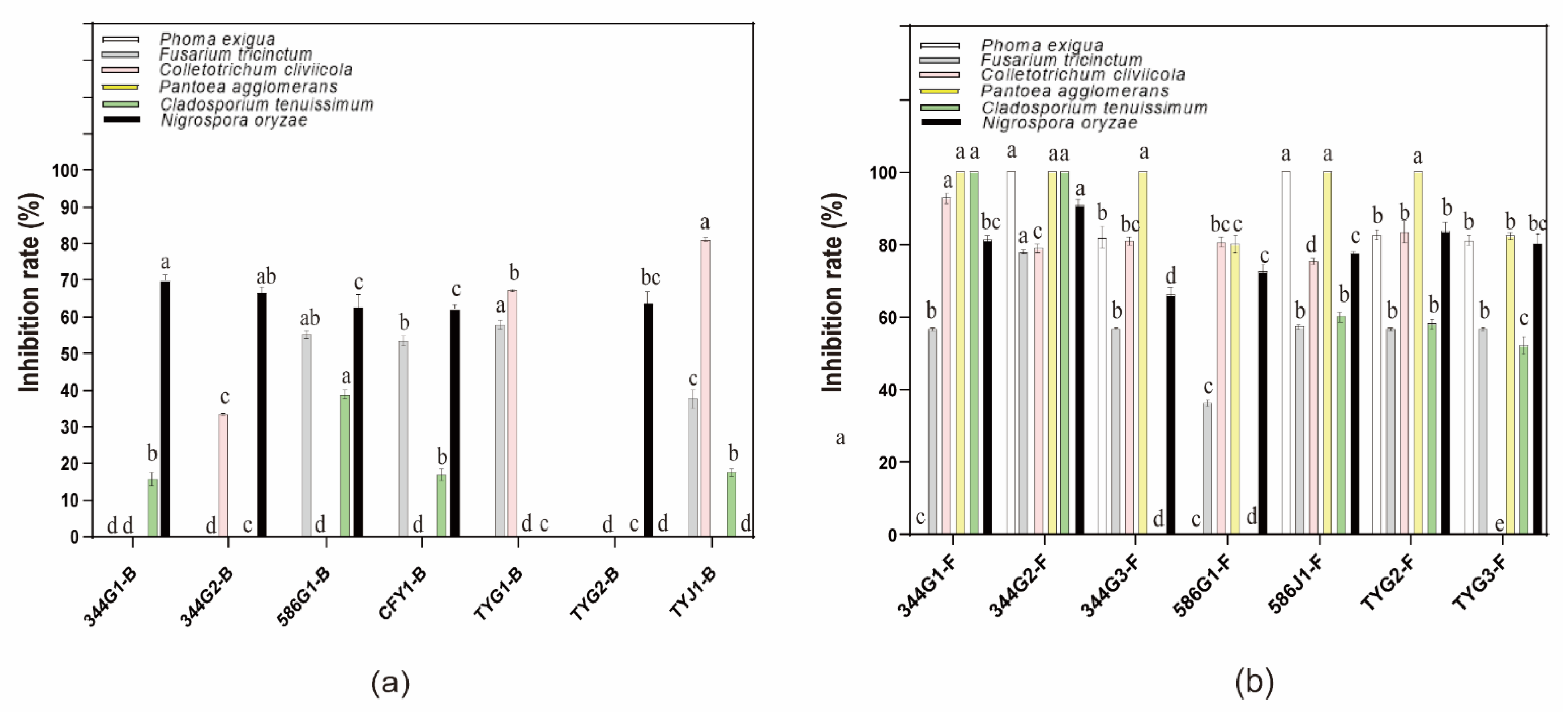 Microorganisms 10 00731 g003
