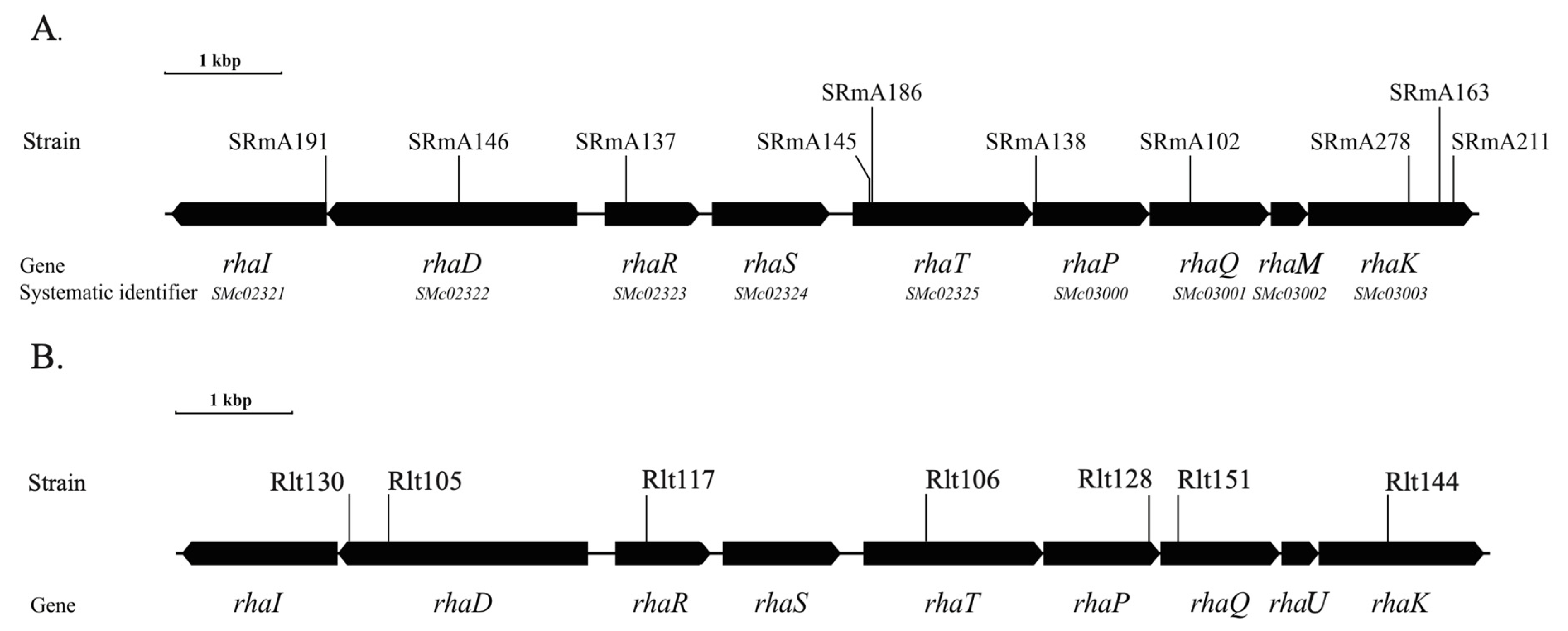 Microorganisms 10 00732 g001 Microorganisms 10 00732 g001
