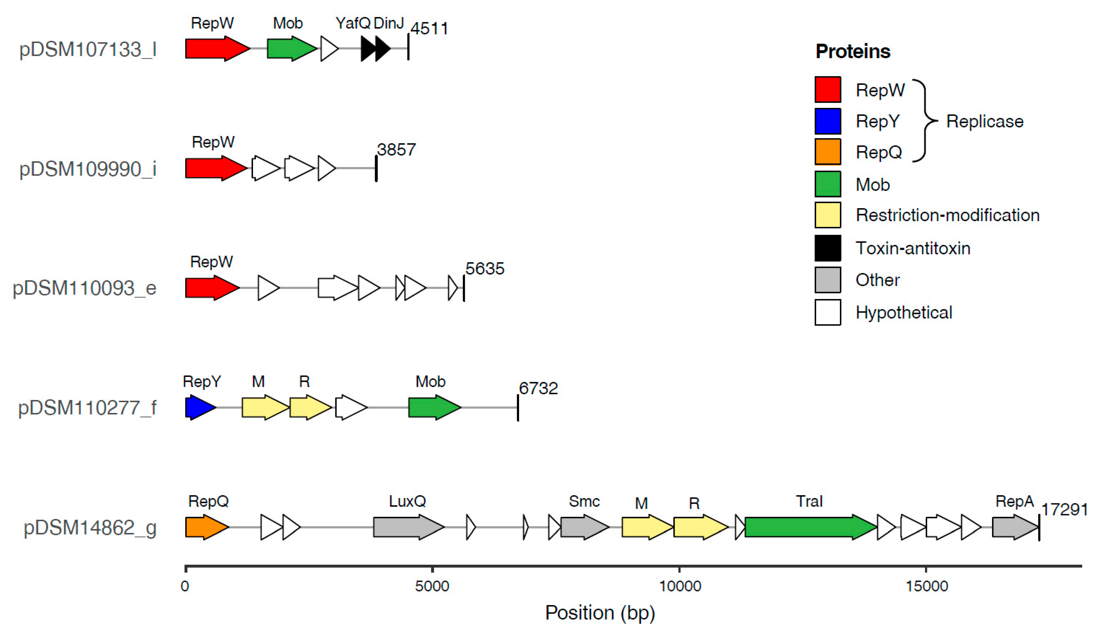 Microorganisms 10 00738 g002 Microorganisms 10 00738 g002
