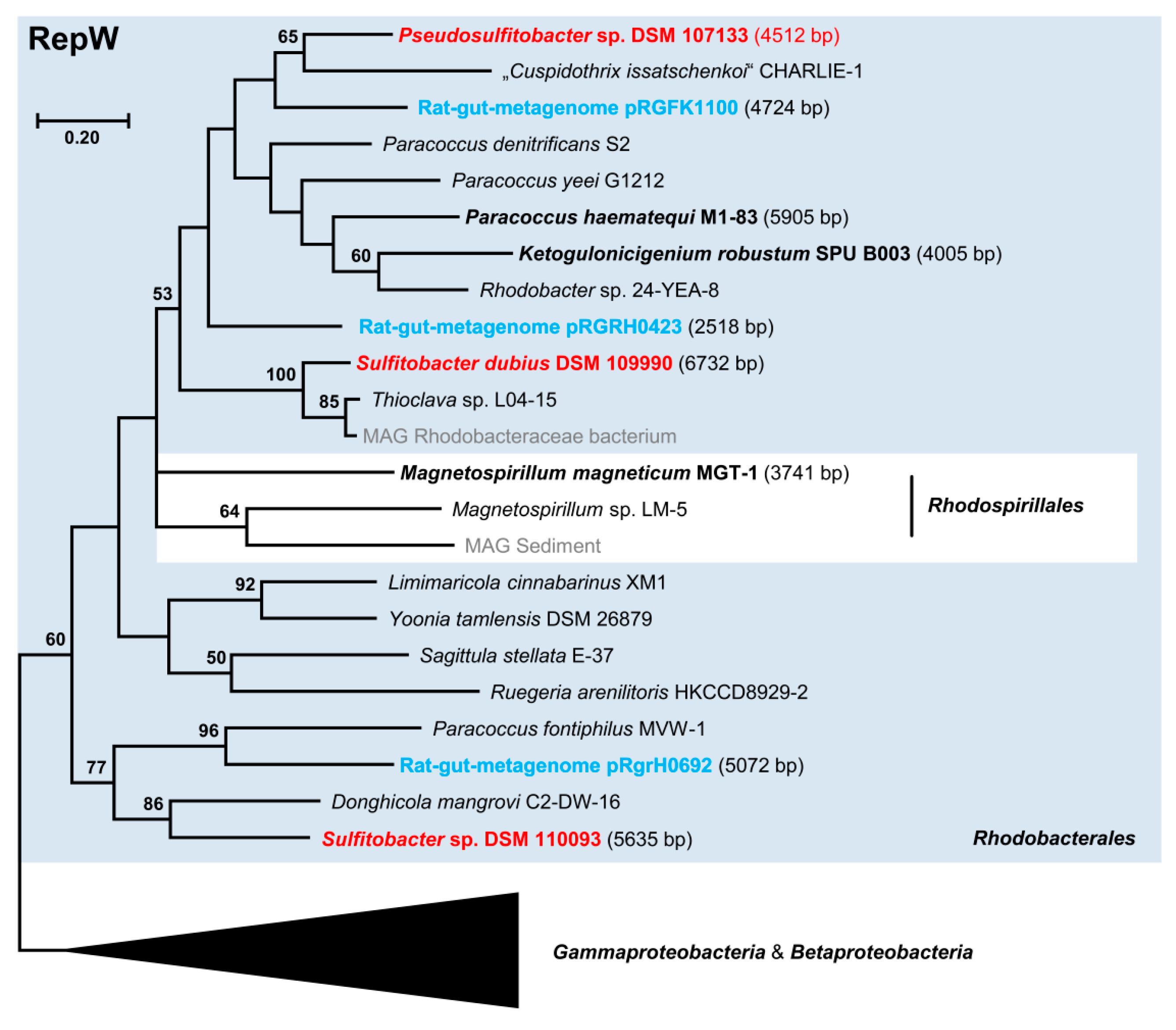 Microorganisms 10 00738 g005 Microorganisms 10 00738 g005