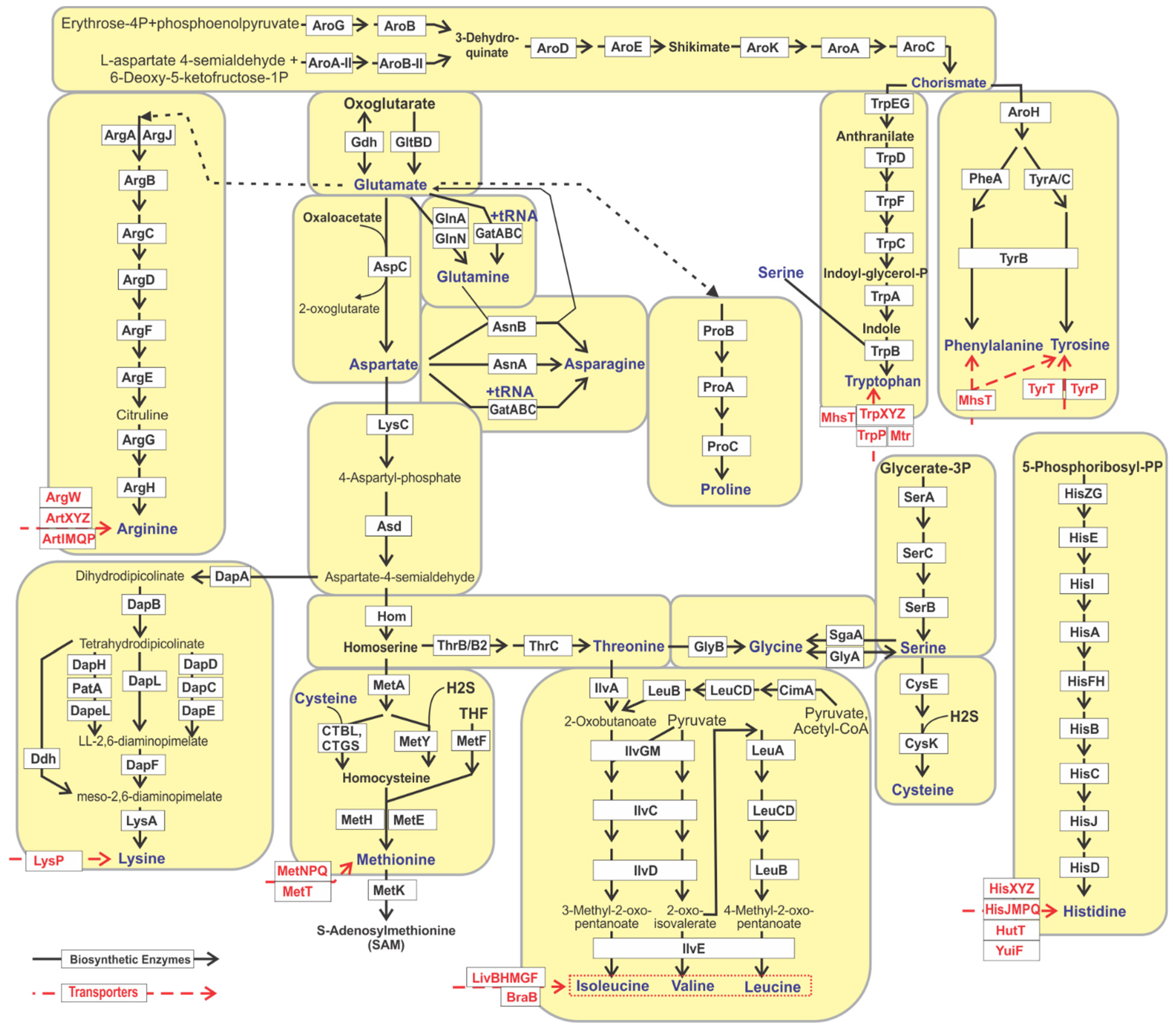 Microorganisms 10 00740 g001