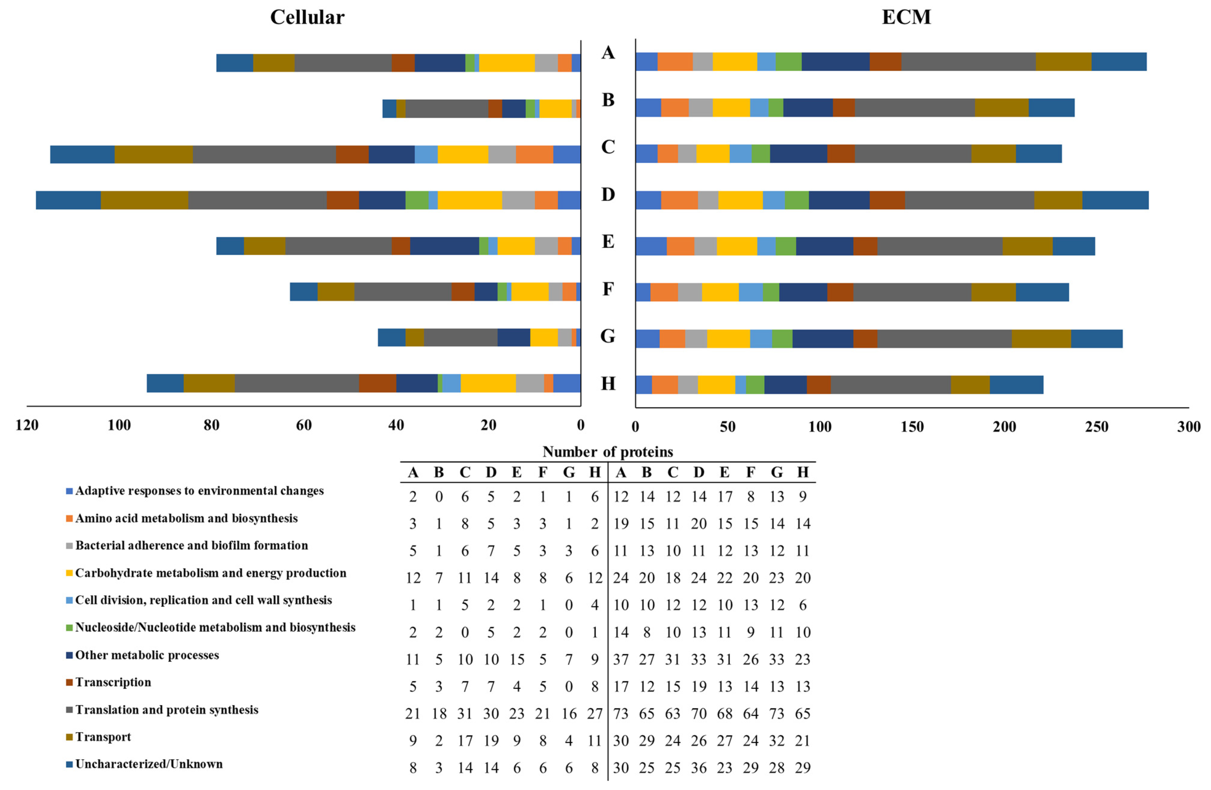 Microorganisms 10 00742 g005