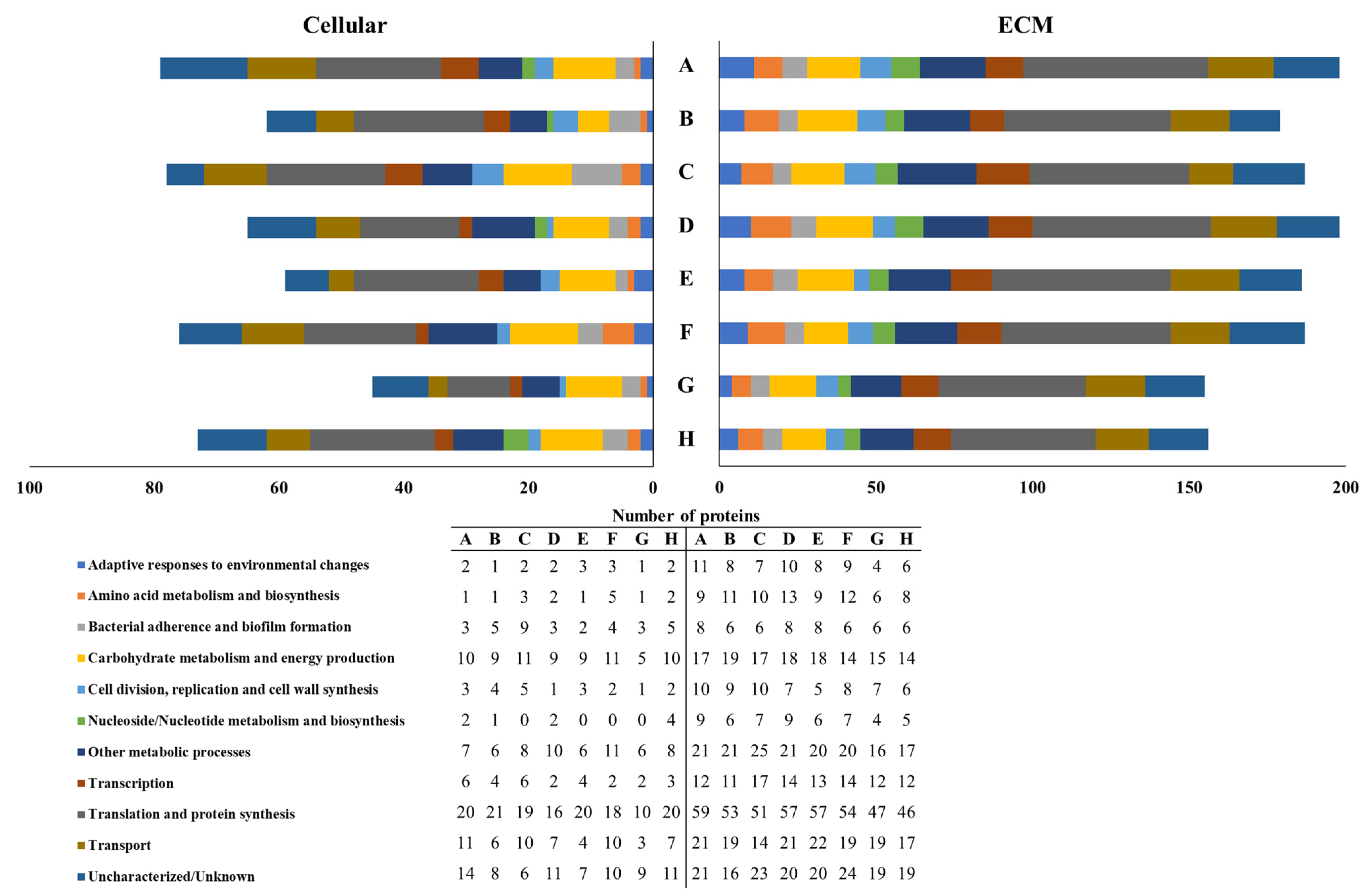 Microorganisms 10 00742 g006