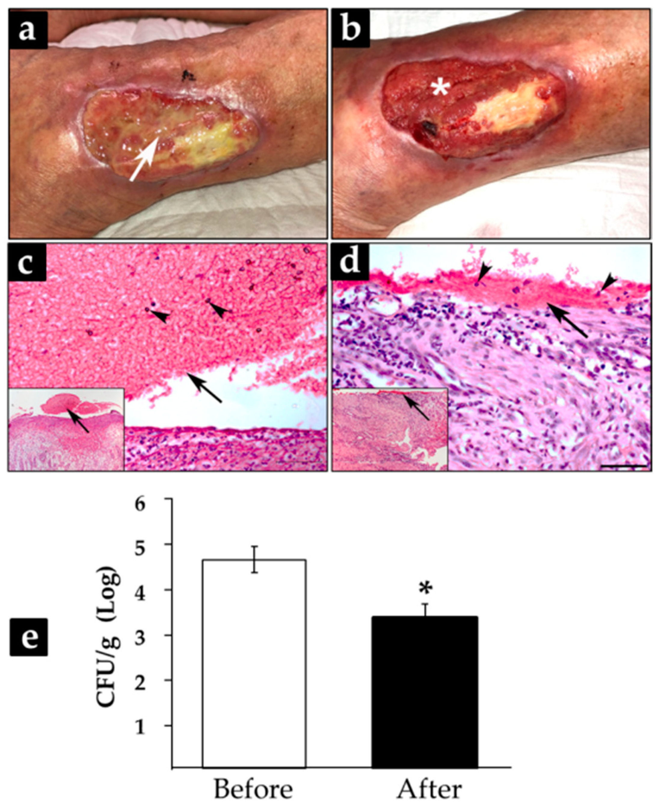 Microorganisms 10 00745 g005