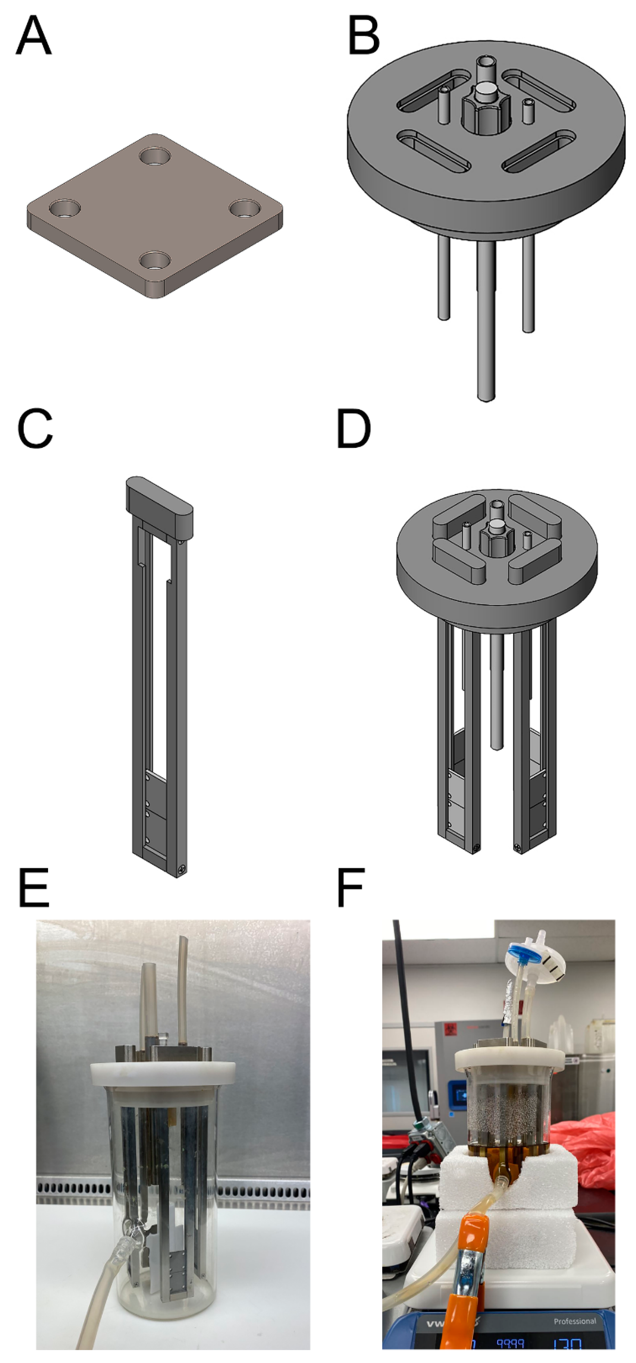 Microorganisms 10 00759 g001