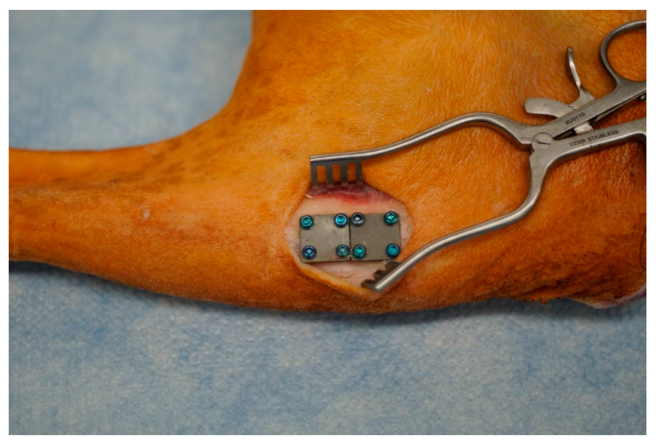 Microorganisms 10 00759 g002