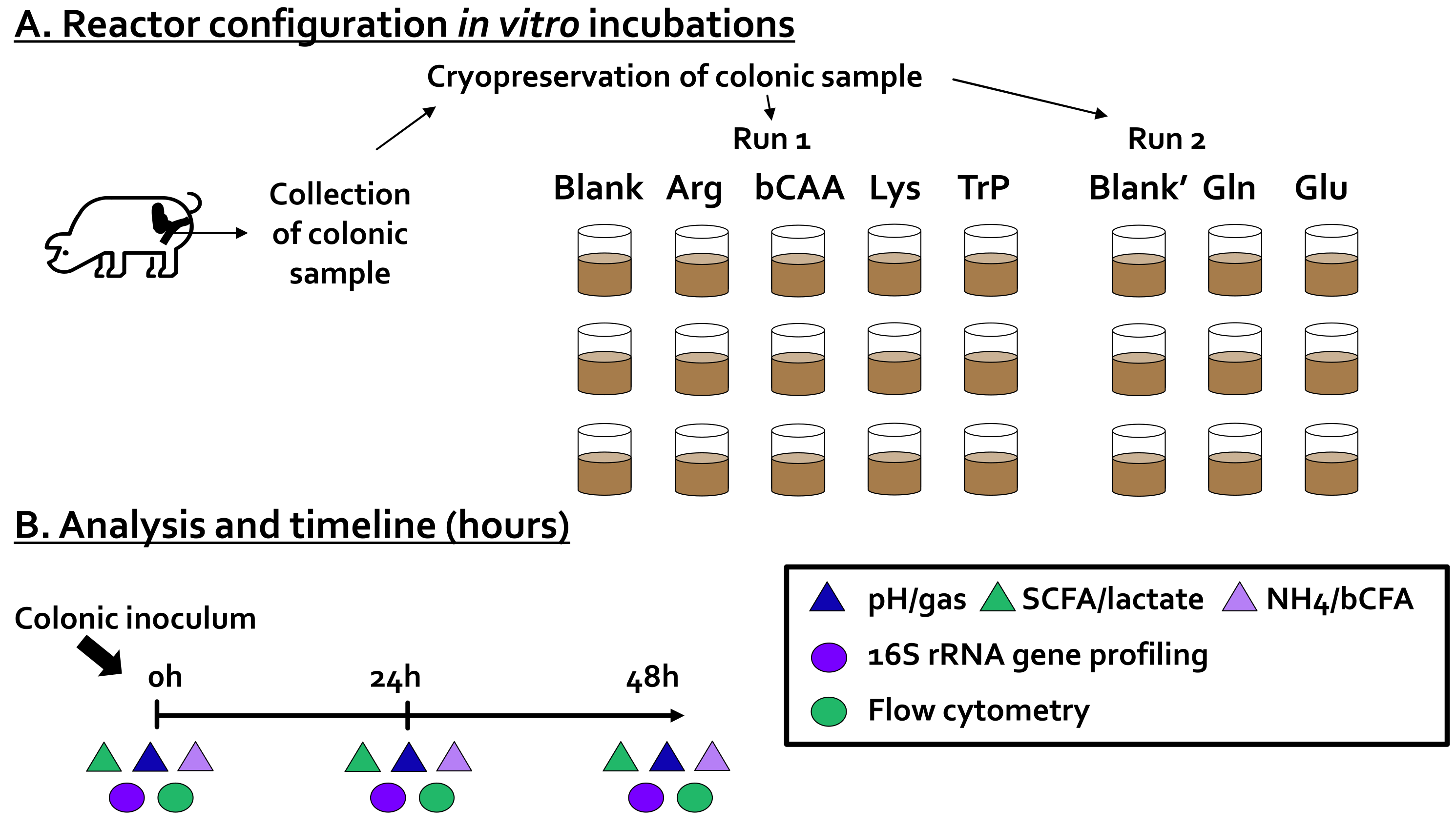Microorganisms 10 00762 g001