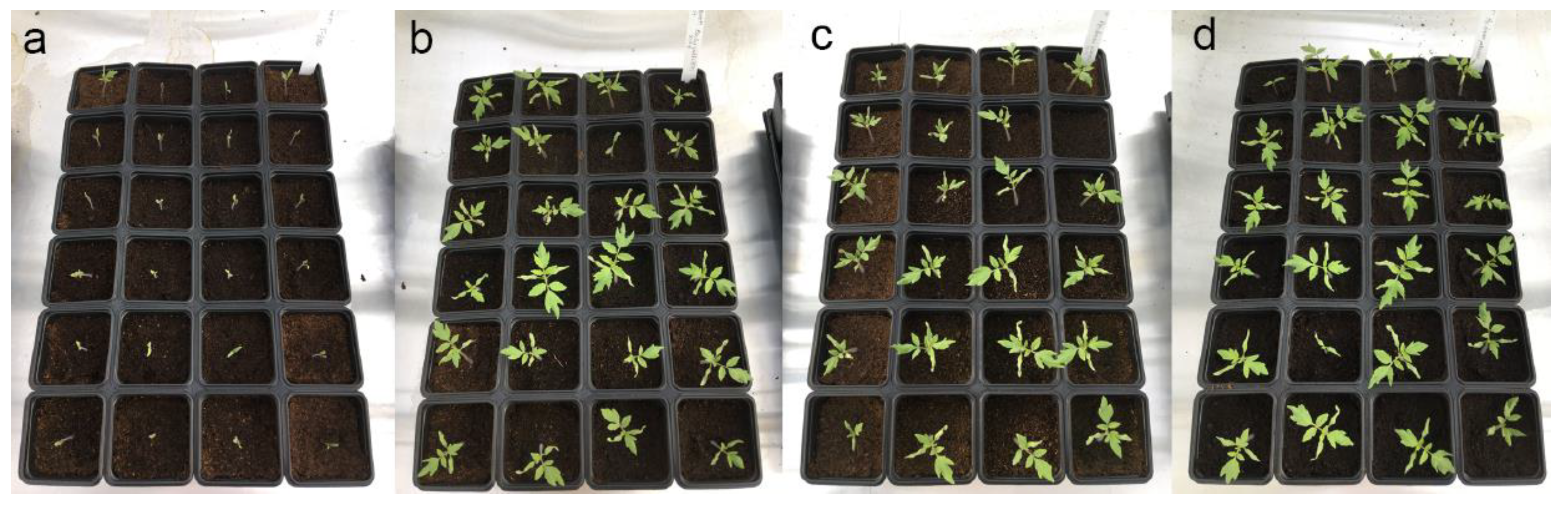 Microorganisms 10 00765 g003