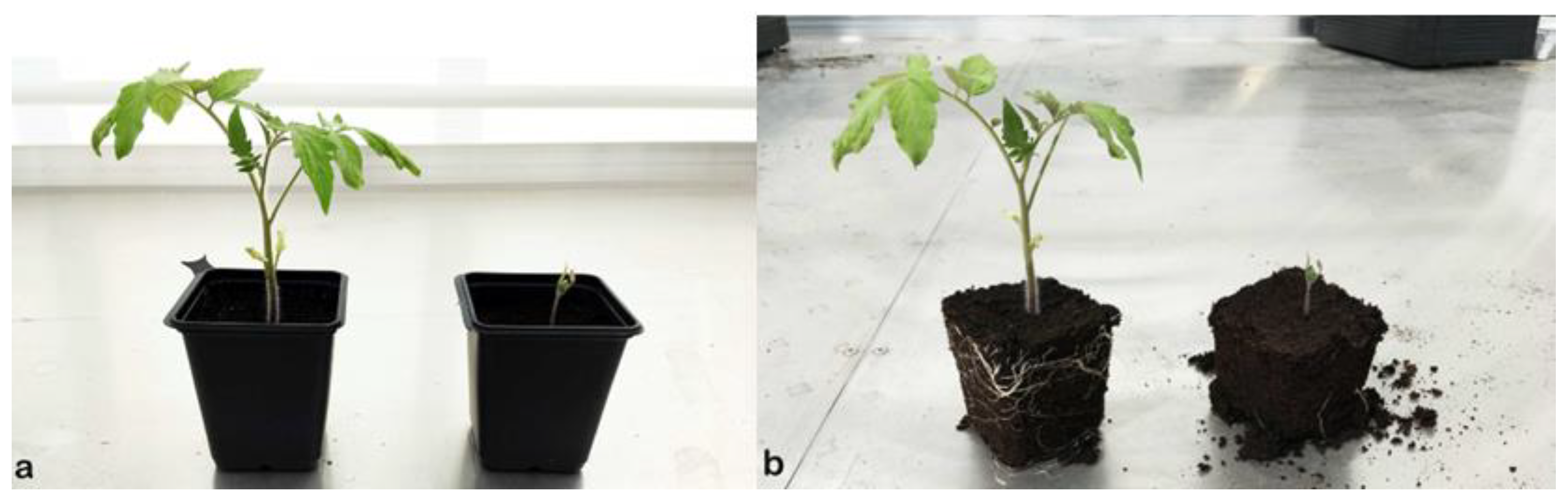 Microorganisms 10 00765 g005